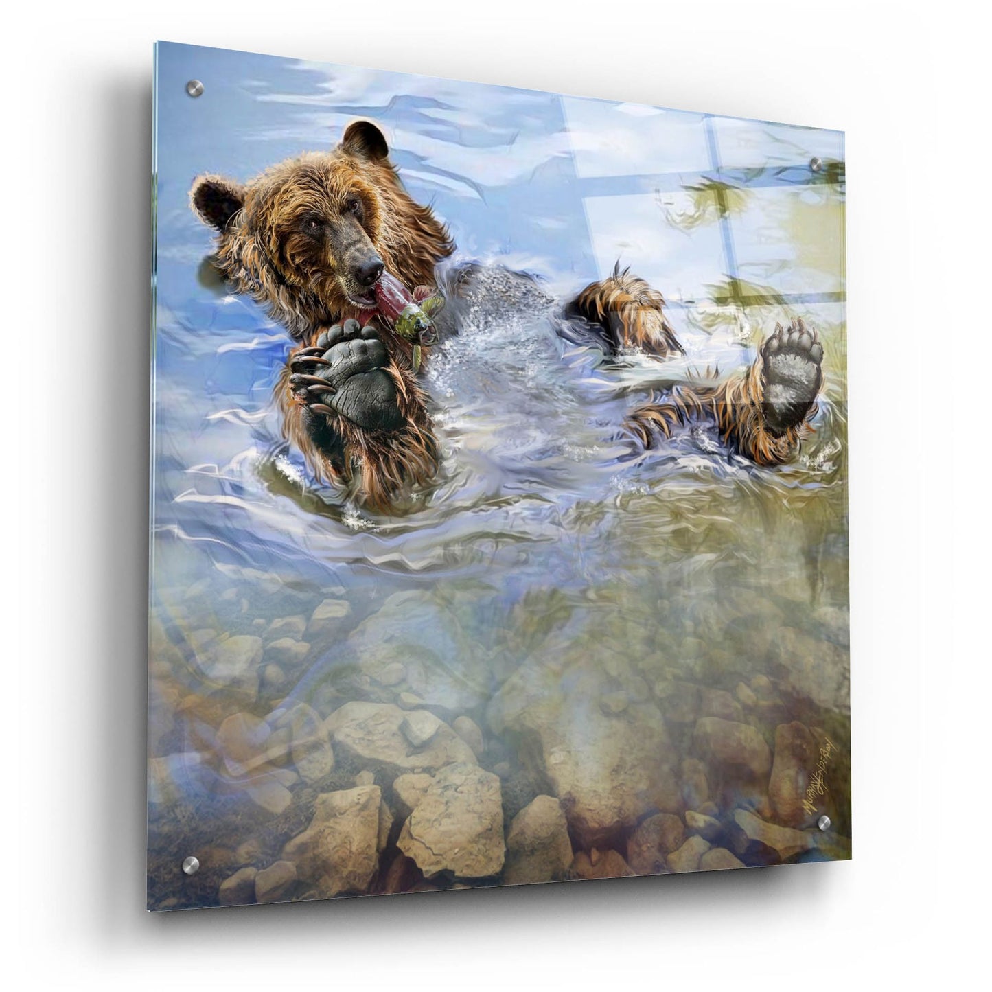 Epic Art 'Bear Bath' by Murray Henderson Fine Art, Acrylic Glass Wall Art,24x24