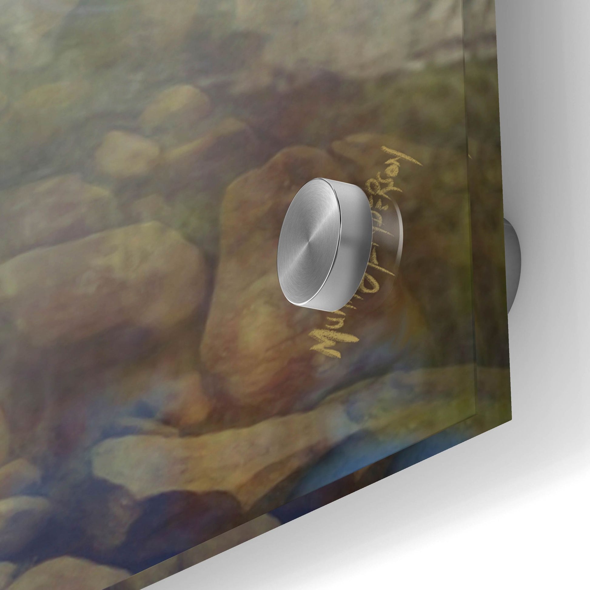 Epic Art 'Bear Bath' by Murray Henderson Fine Art, Acrylic Glass Wall Art,24x24