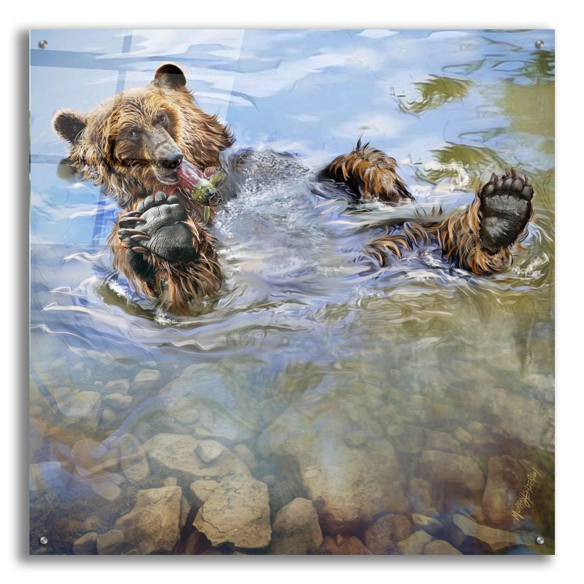 Epic Art 'Bear Bath' by Murray Henderson Fine Art, Acrylic Glass Wall Art,36x36