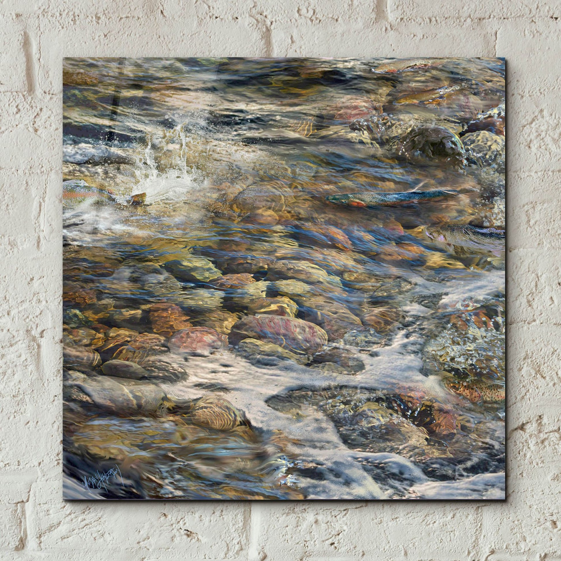 Epic Art 'River Rocks' by Murray Henderson Fine Art, Acrylic Glass Wall Art,12x12