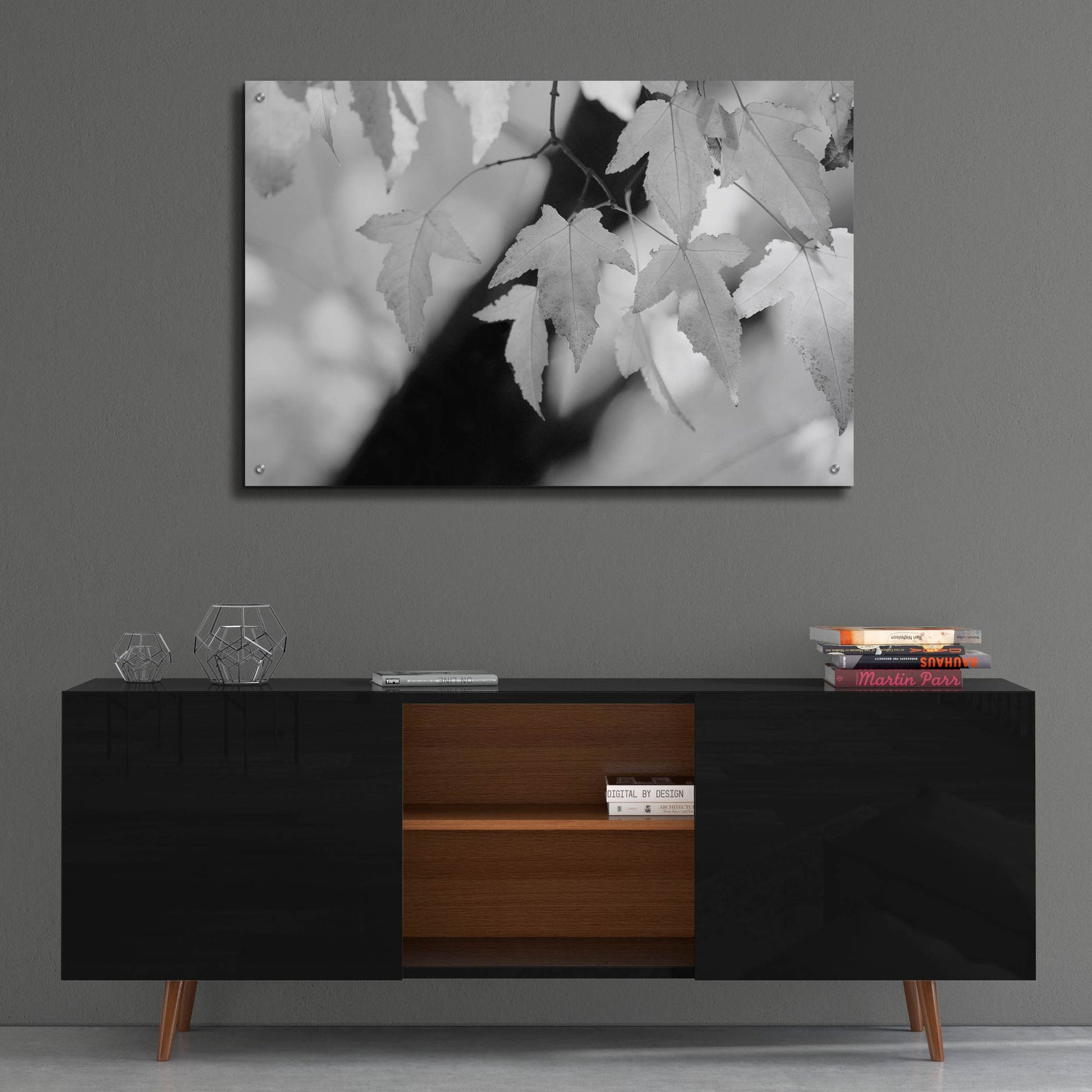 Epic Art 'Leaves and Light' by Nicholas Bell Photography, Acrylic Glass Wall Art,36x24