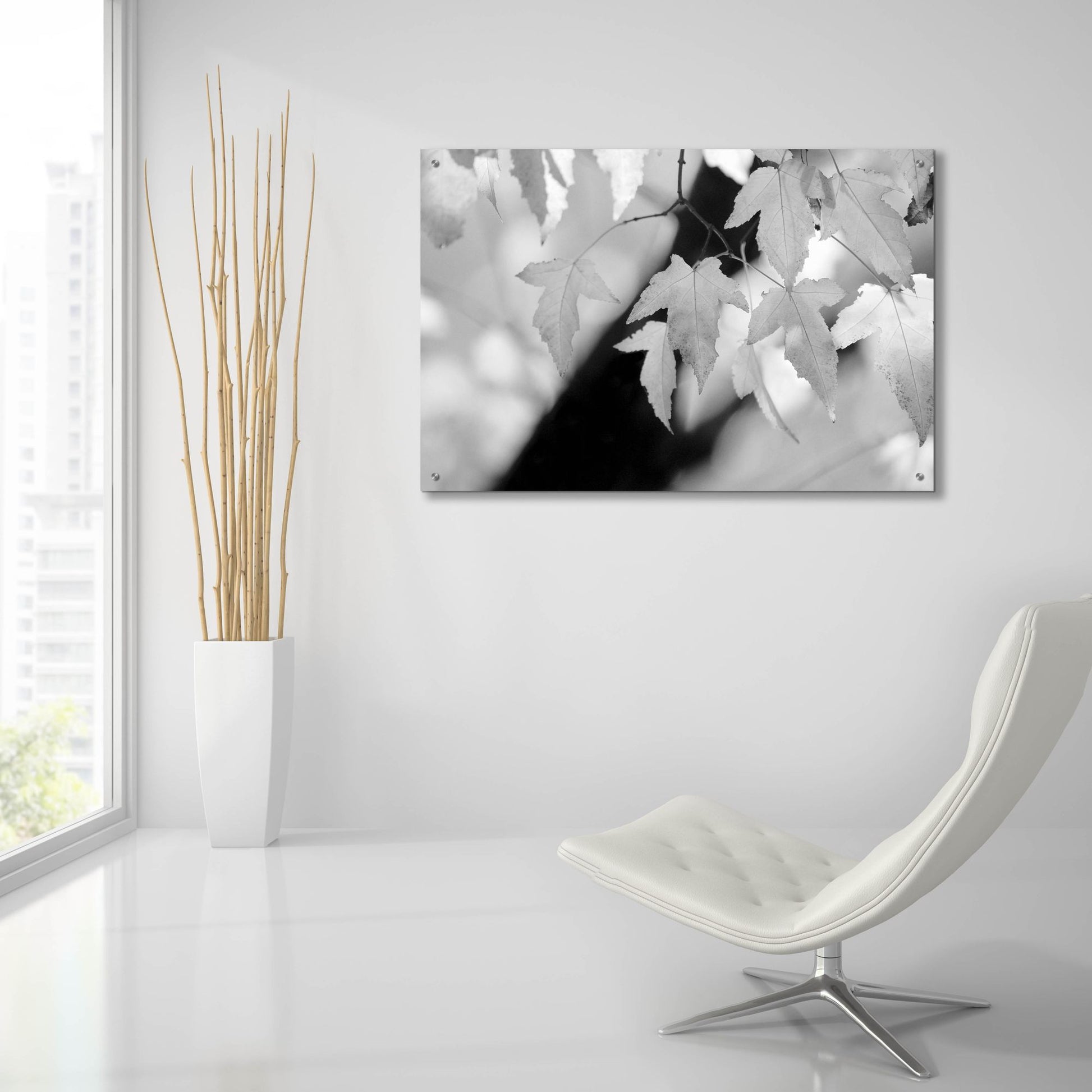 Epic Art 'Leaves and Light' by Nicholas Bell Photography, Acrylic Glass Wall Art,36x24