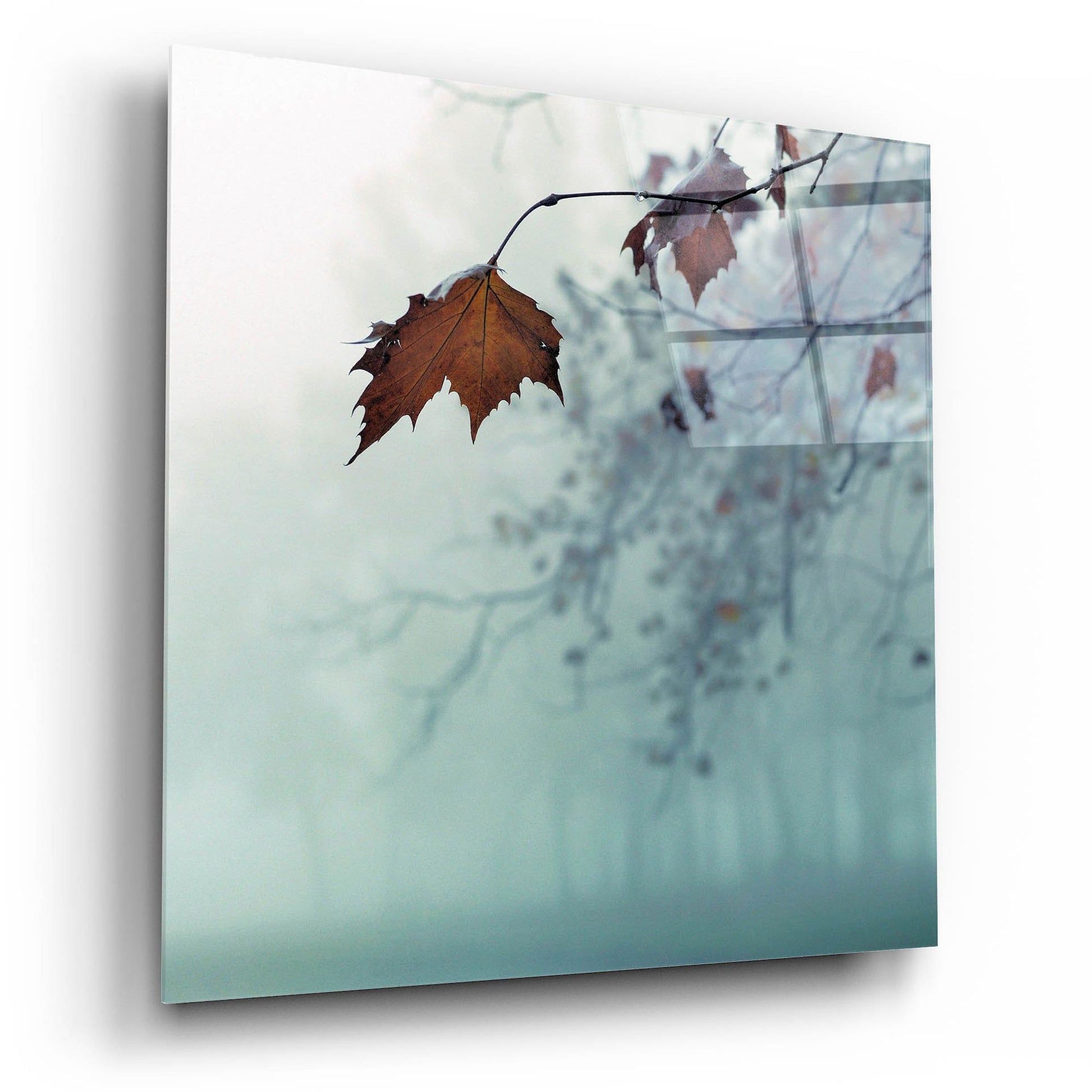 Epic Art 'November' by Nicholas Bell Photography, Acrylic Glass Wall Art,12x12