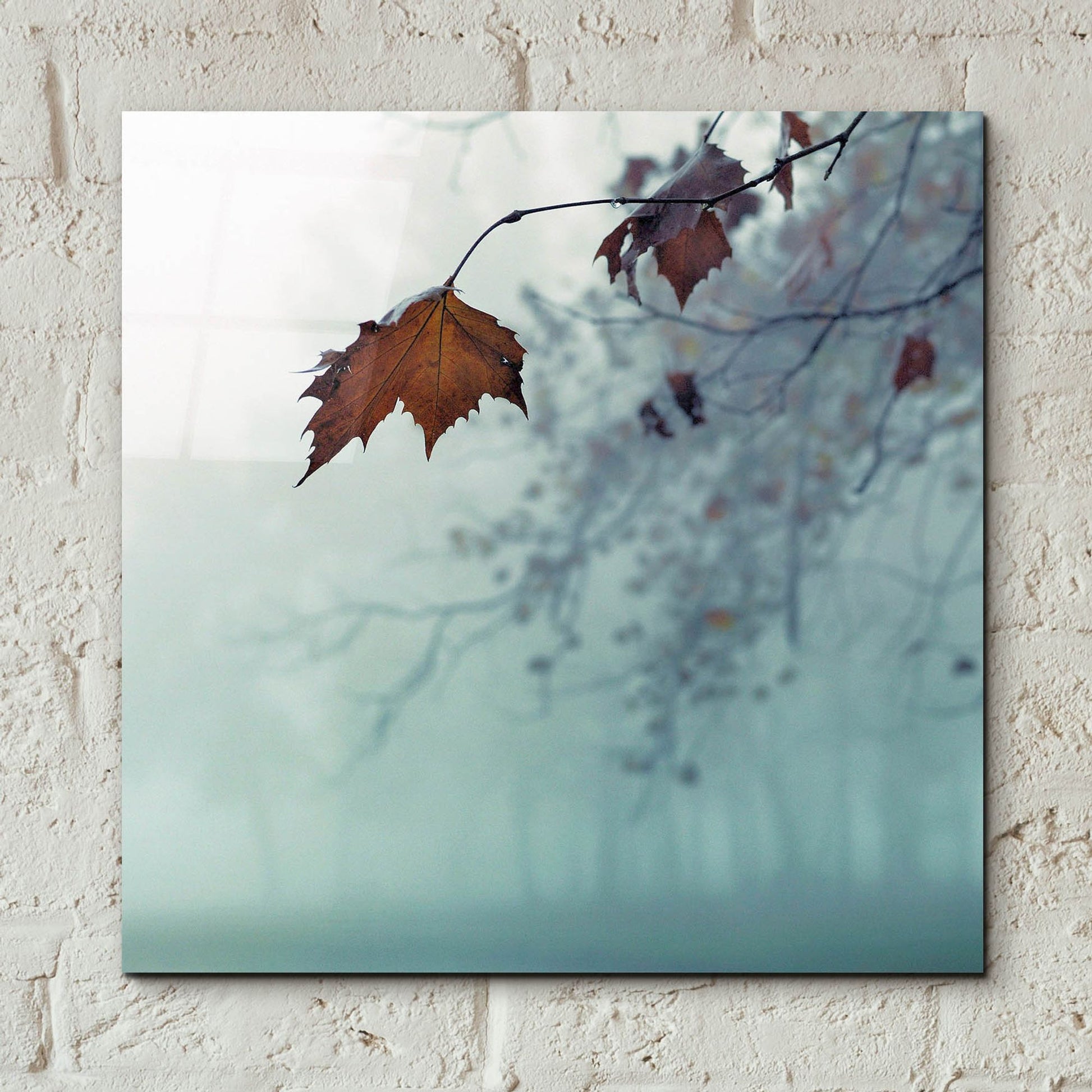 Epic Art 'November' by Nicholas Bell Photography, Acrylic Glass Wall Art,12x12