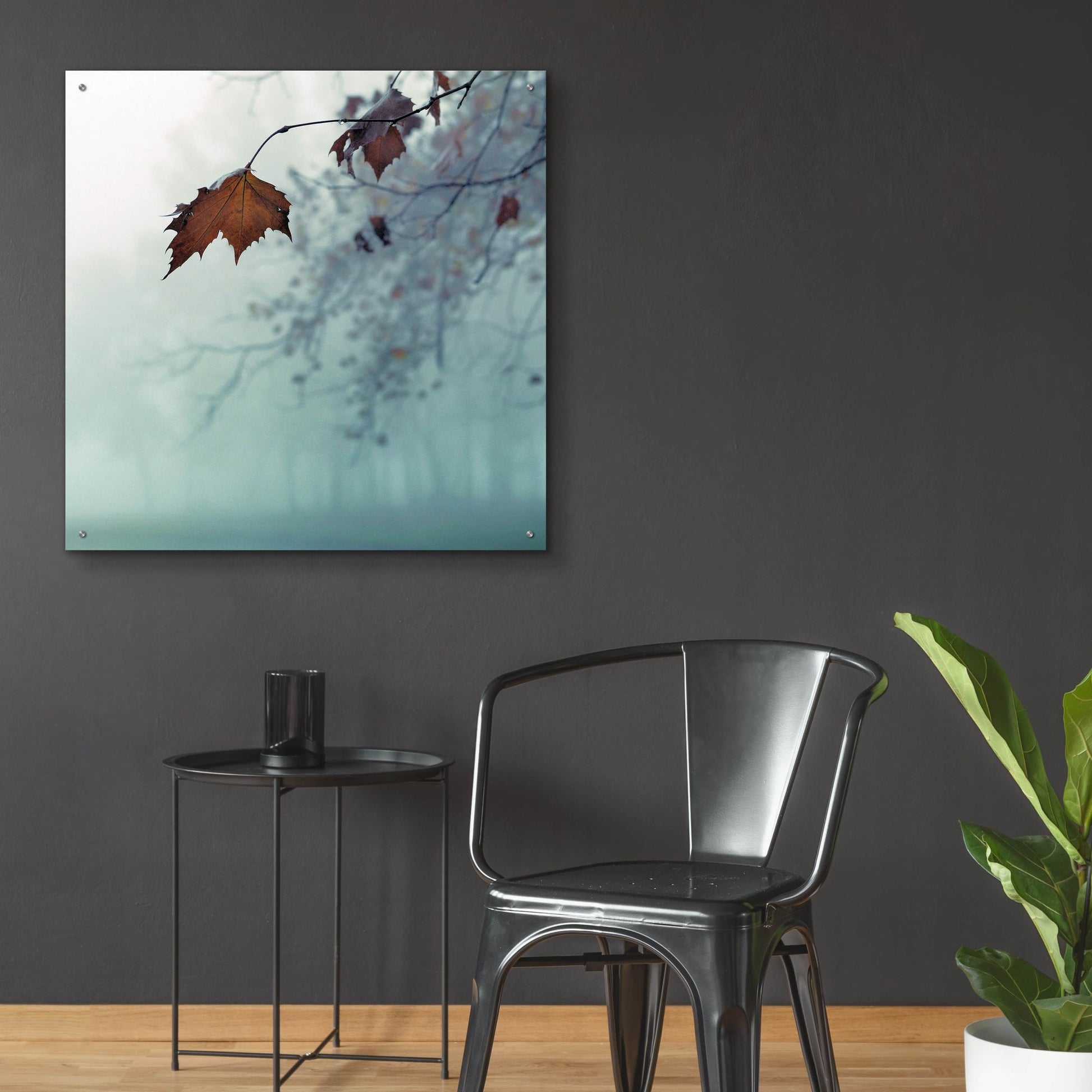 Epic Art 'November' by Nicholas Bell Photography, Acrylic Glass Wall Art,36x36