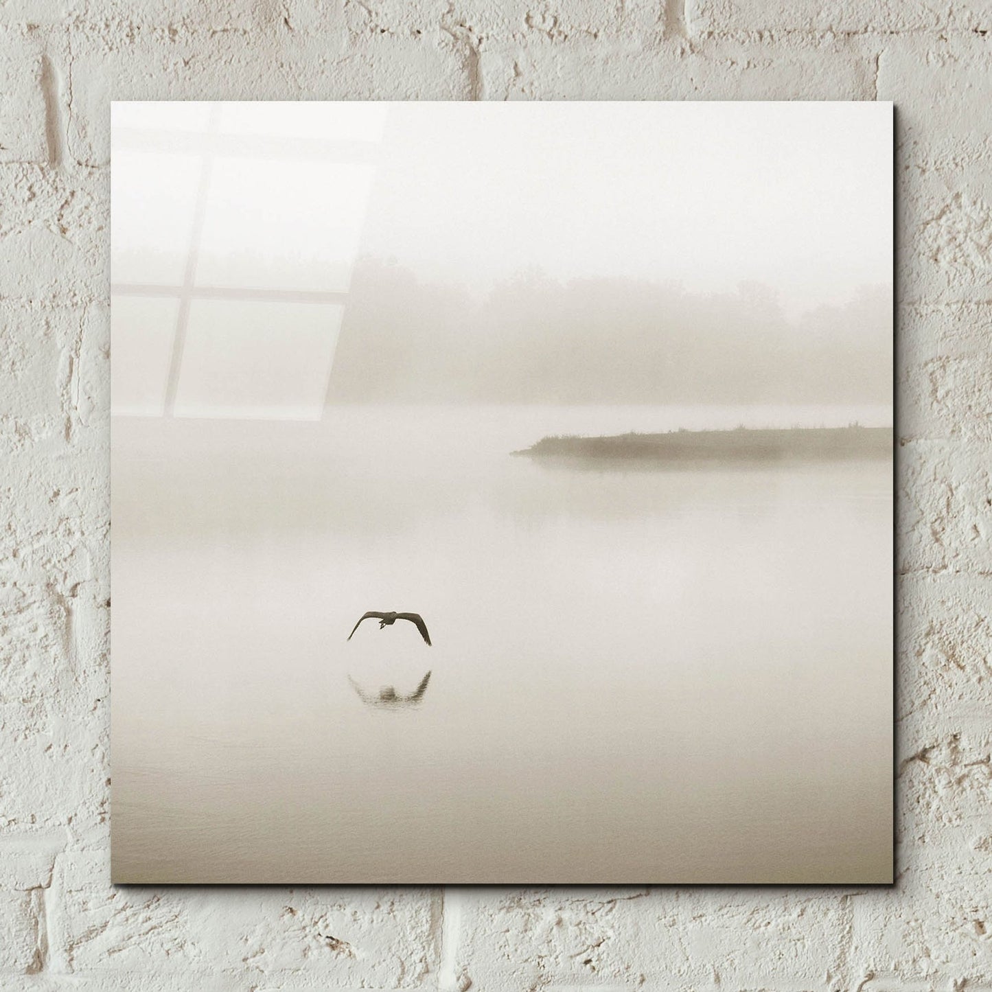 Epic Art 'Silence' by Nicholas Bell Photography, Acrylic Glass Wall Art,12x12