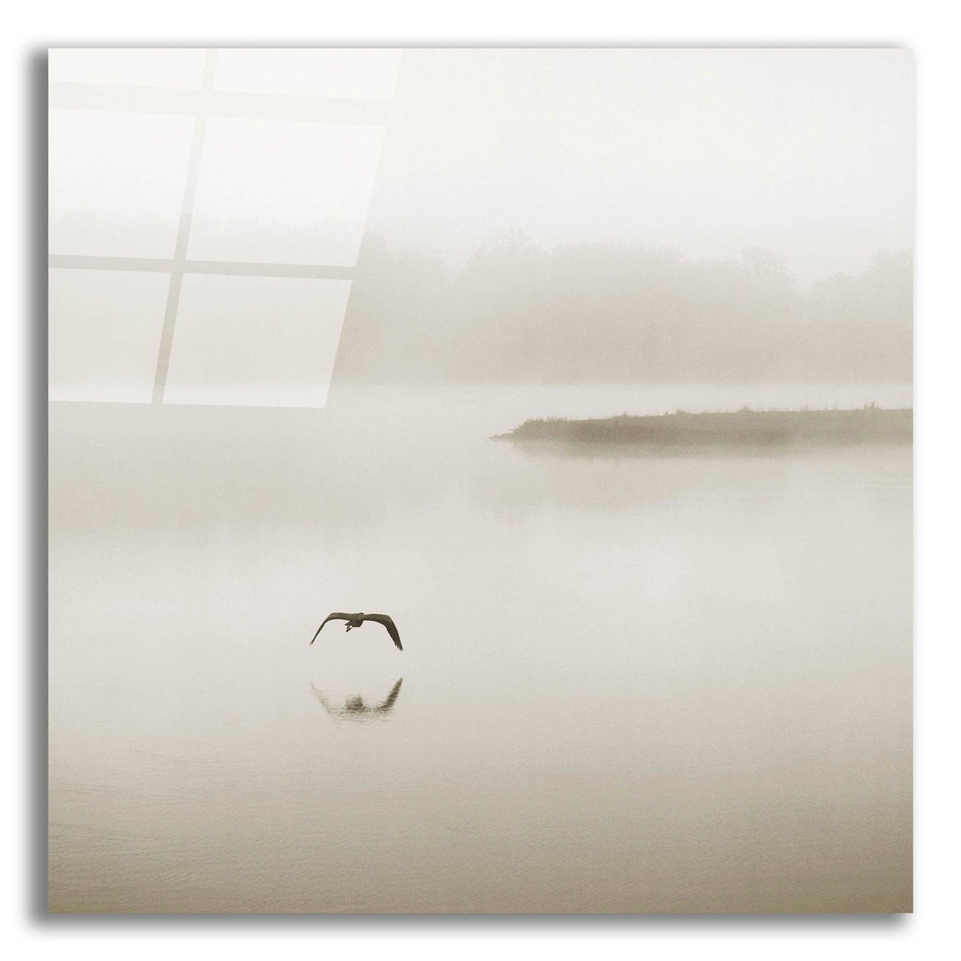 Epic Art 'Silence' by Nicholas Bell Photography, Acrylic Glass Wall Art,12x12