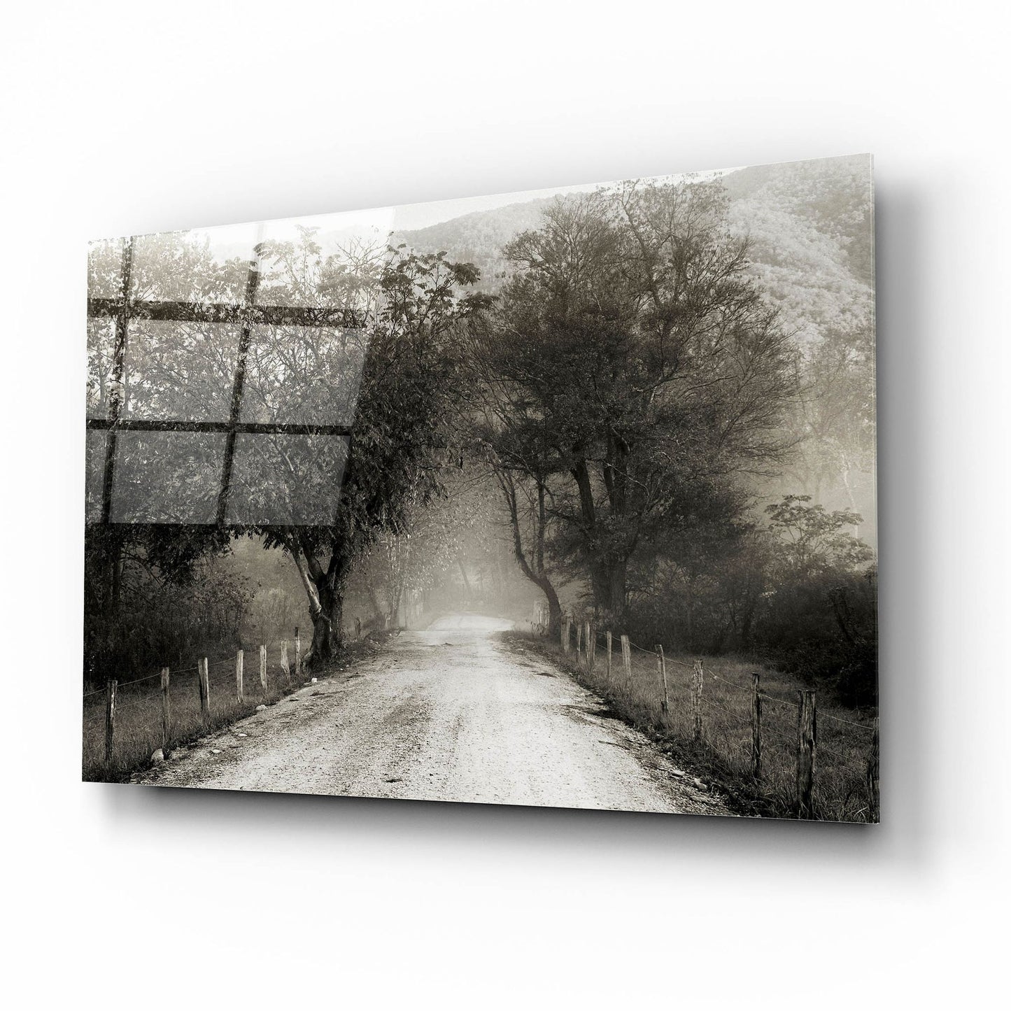 Epic Art 'Sparks Lane' by Nicholas Bell Photography, Acrylic Glass Wall Art,16x12