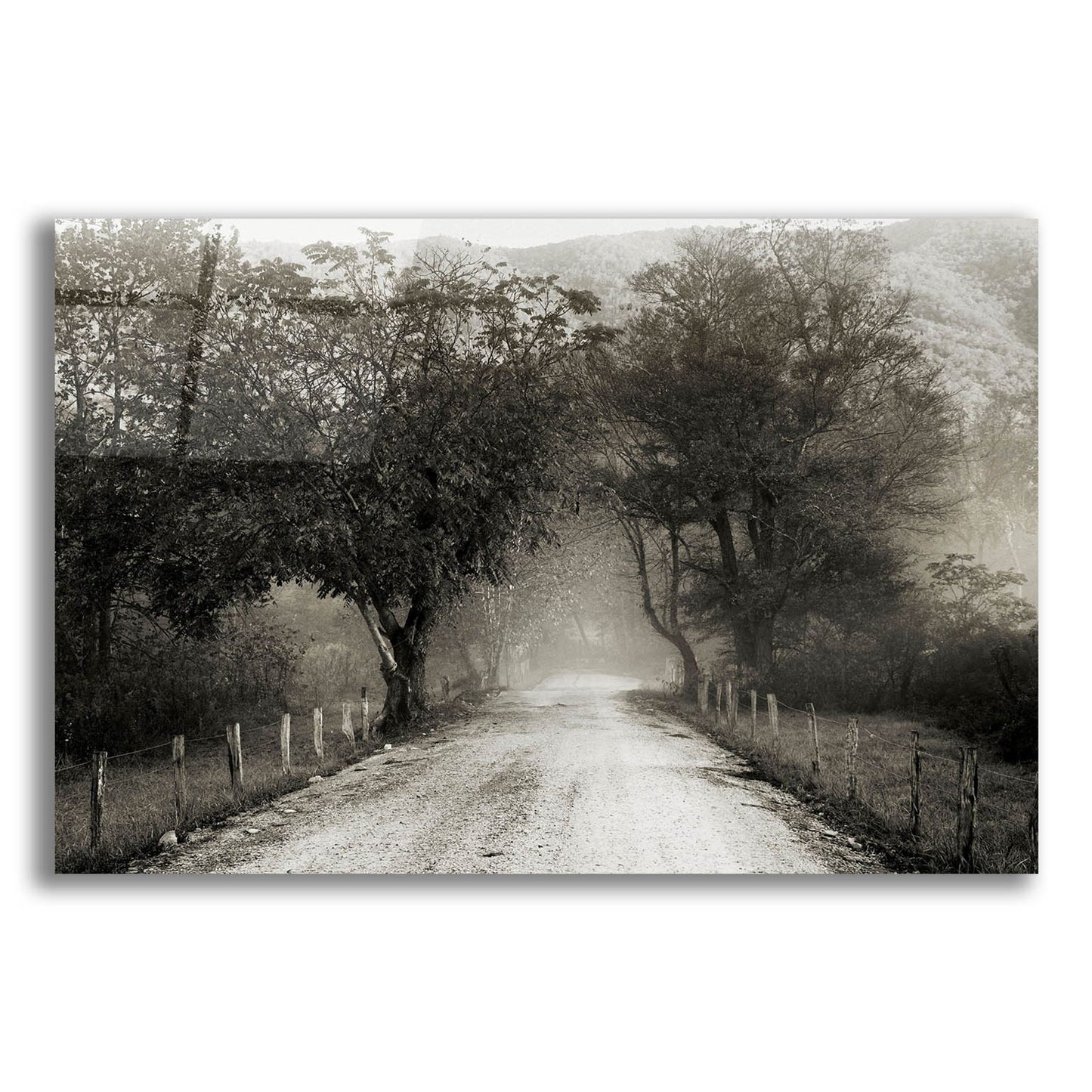 Epic Art 'Sparks Lane' by Nicholas Bell Photography, Acrylic Glass Wall Art,16x12