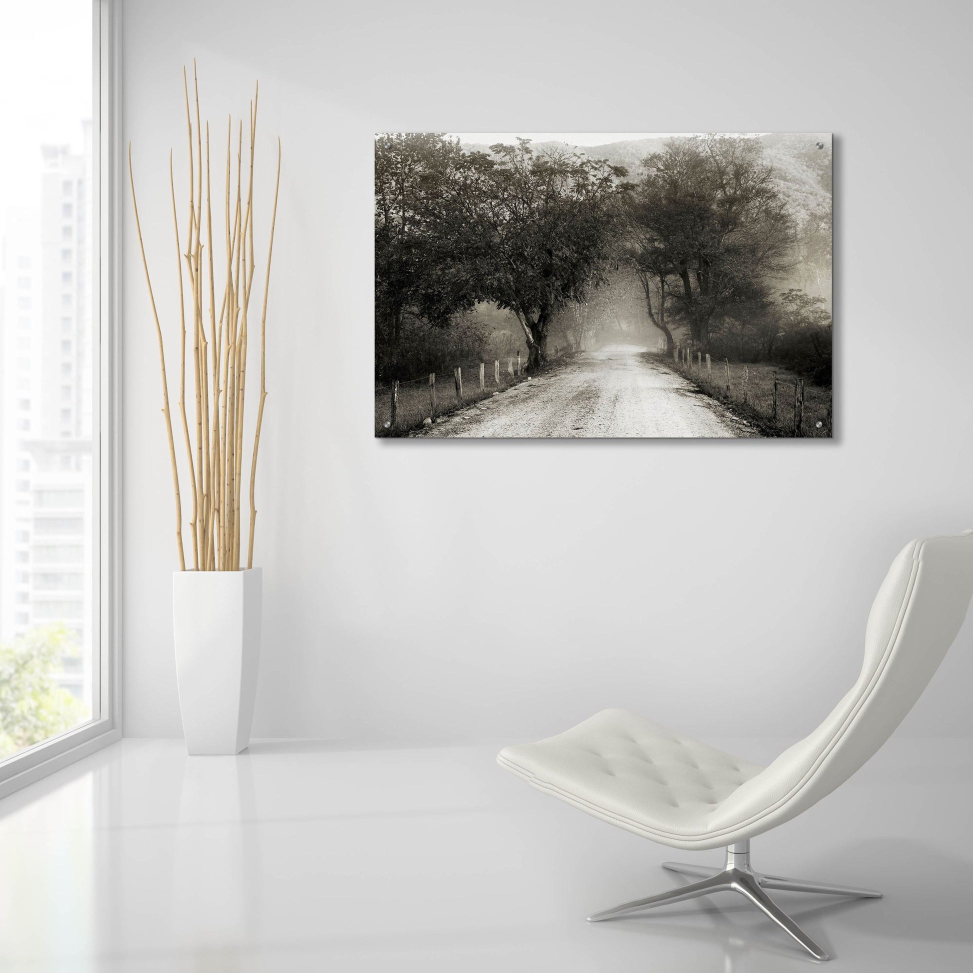 Epic Art 'Sparks Lane' by Nicholas Bell Photography, Acrylic Glass Wall Art,36x24