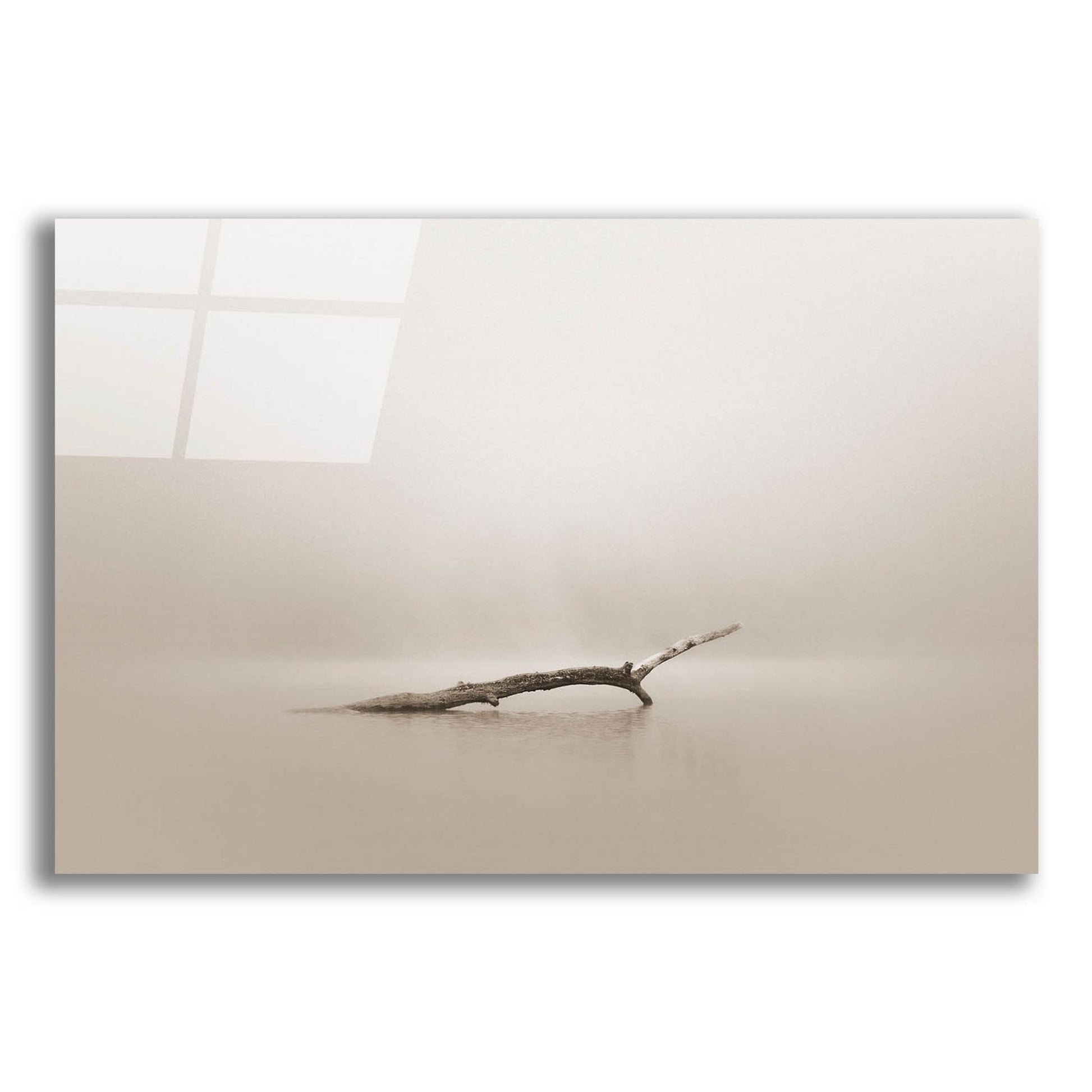 Epic Art 'Still' by Nicholas Bell Photography, Acrylic Glass Wall Art,16x12