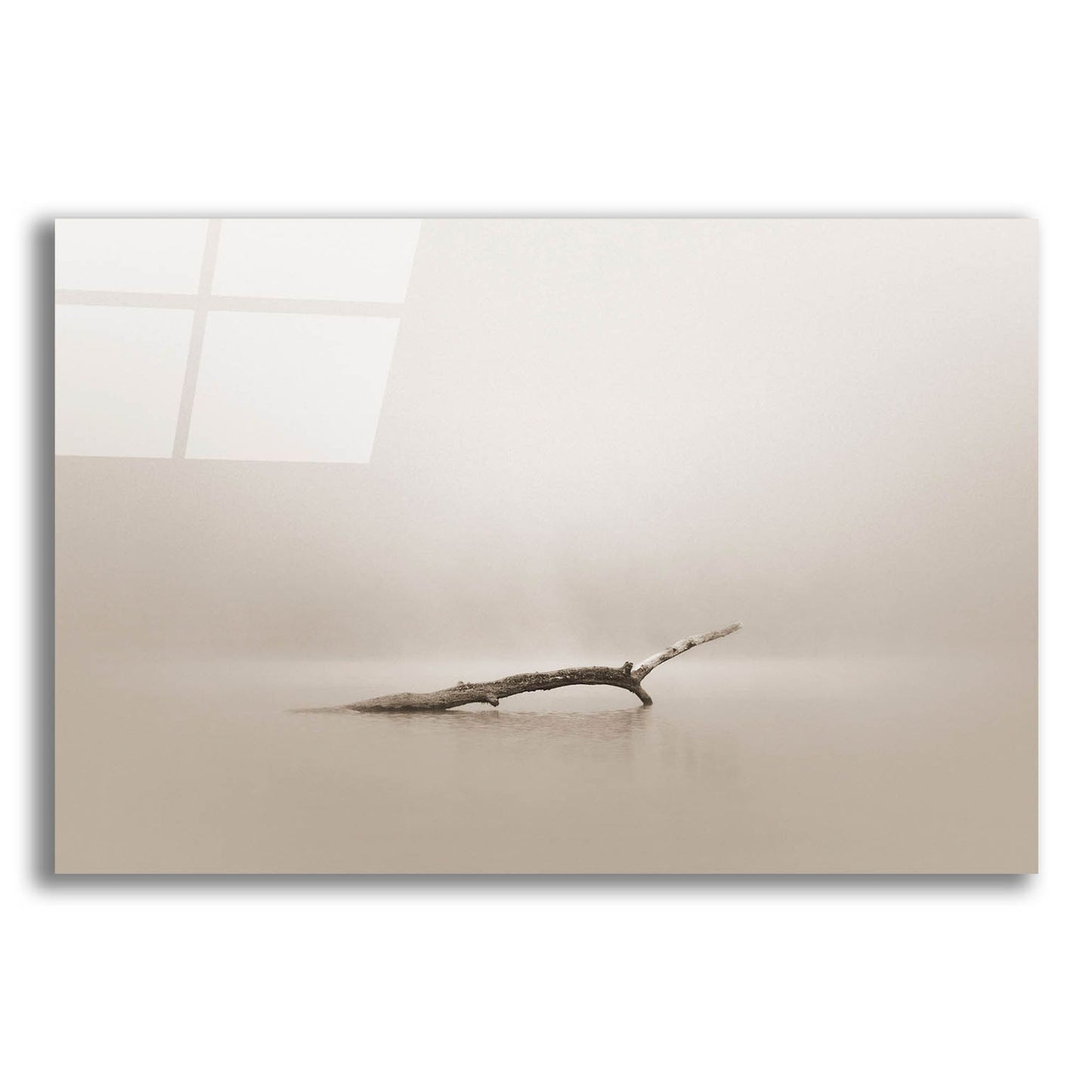 Epic Art 'Still' by Nicholas Bell Photography, Acrylic Glass Wall Art,24x16