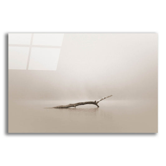 Epic Art 'Still' by Nicholas Bell Photography, Acrylic Glass Wall Art