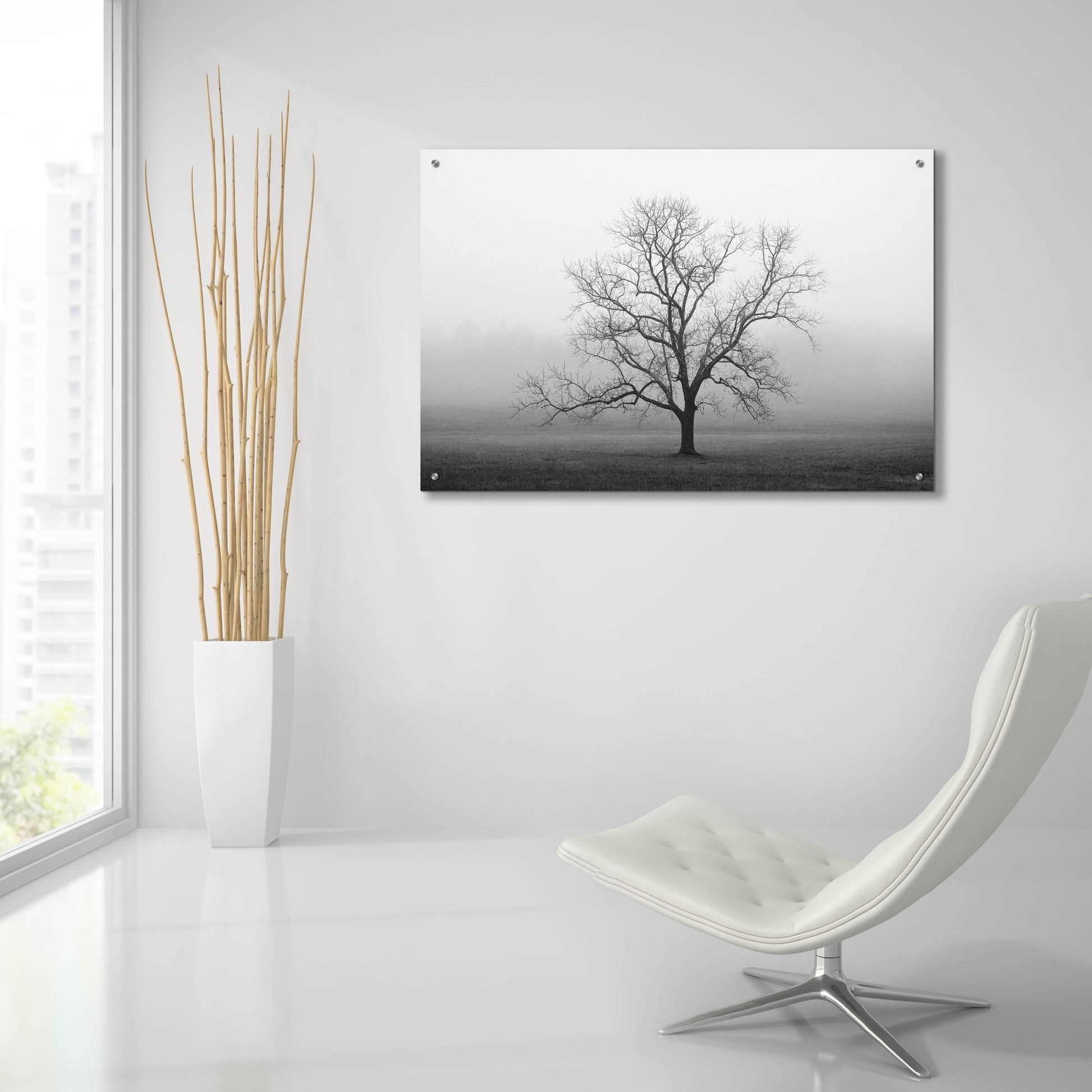 Epic Art 'Velvet Sunrise' by Nicholas Bell Photography, Acrylic Glass Wall Art,36x24