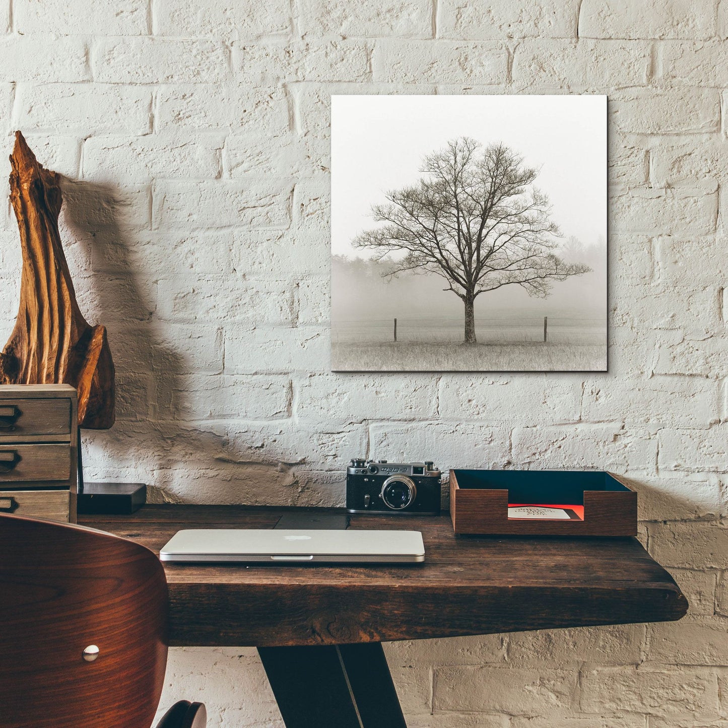 Epic Art 'Winter Tree, Cades Cove' by Nicholas Bell Photography, Acrylic Glass Wall Art,12x12