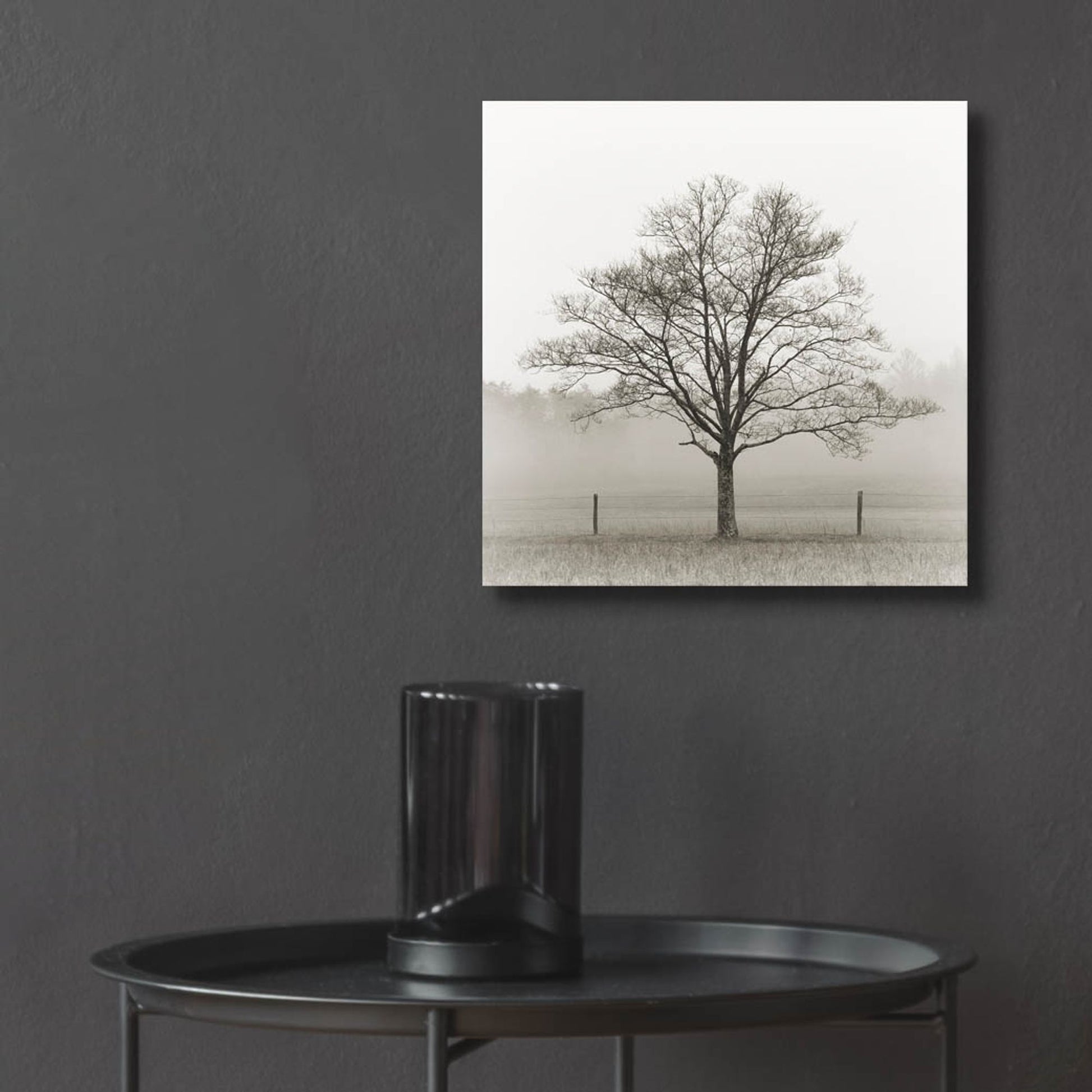 Epic Art 'Winter Tree, Cades Cove' by Nicholas Bell Photography, Acrylic Glass Wall Art,12x12