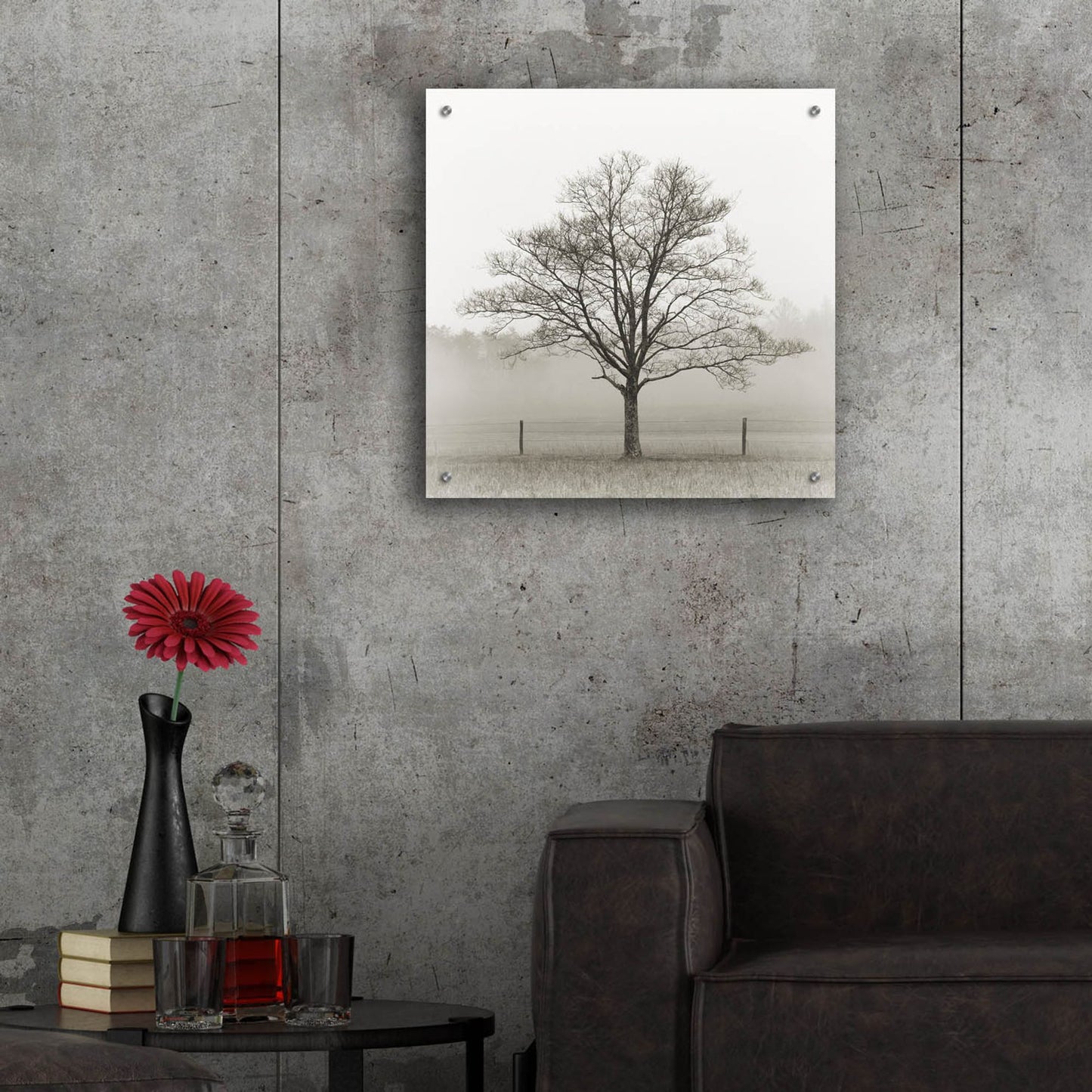 Epic Art 'Winter Tree, Cades Cove' by Nicholas Bell Photography, Acrylic Glass Wall Art,24x24