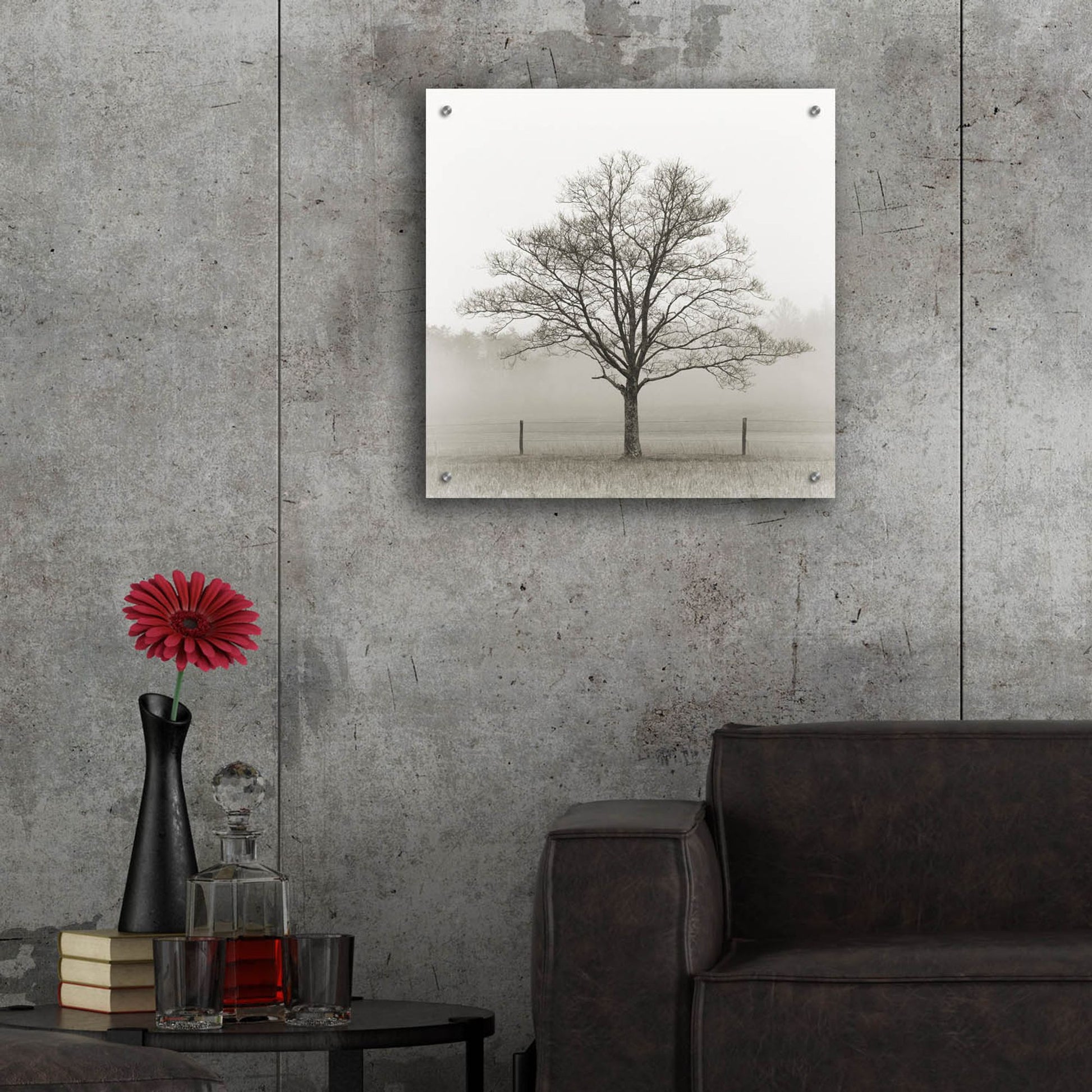 Epic Art 'Winter Tree, Cades Cove' by Nicholas Bell Photography, Acrylic Glass Wall Art,24x24