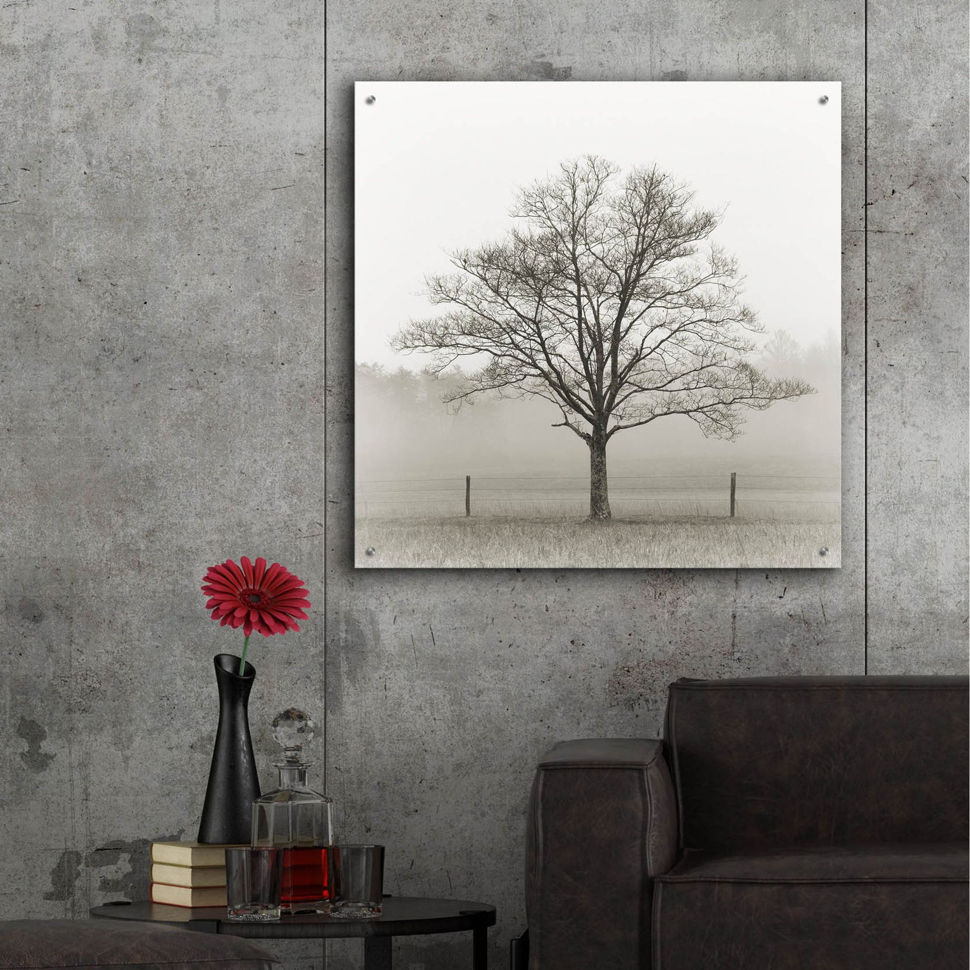 Epic Art 'Winter Tree, Cades Cove' by Nicholas Bell Photography, Acrylic Glass Wall Art,36x36