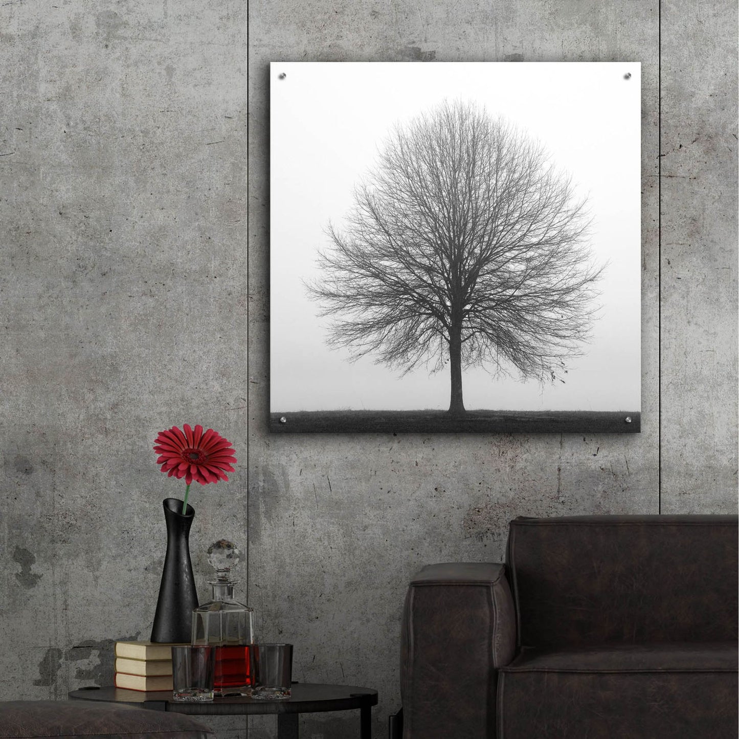 Epic Art 'Winter Trio I' by Nicholas Bell Photography, Acrylic Glass Wall Art,36x36