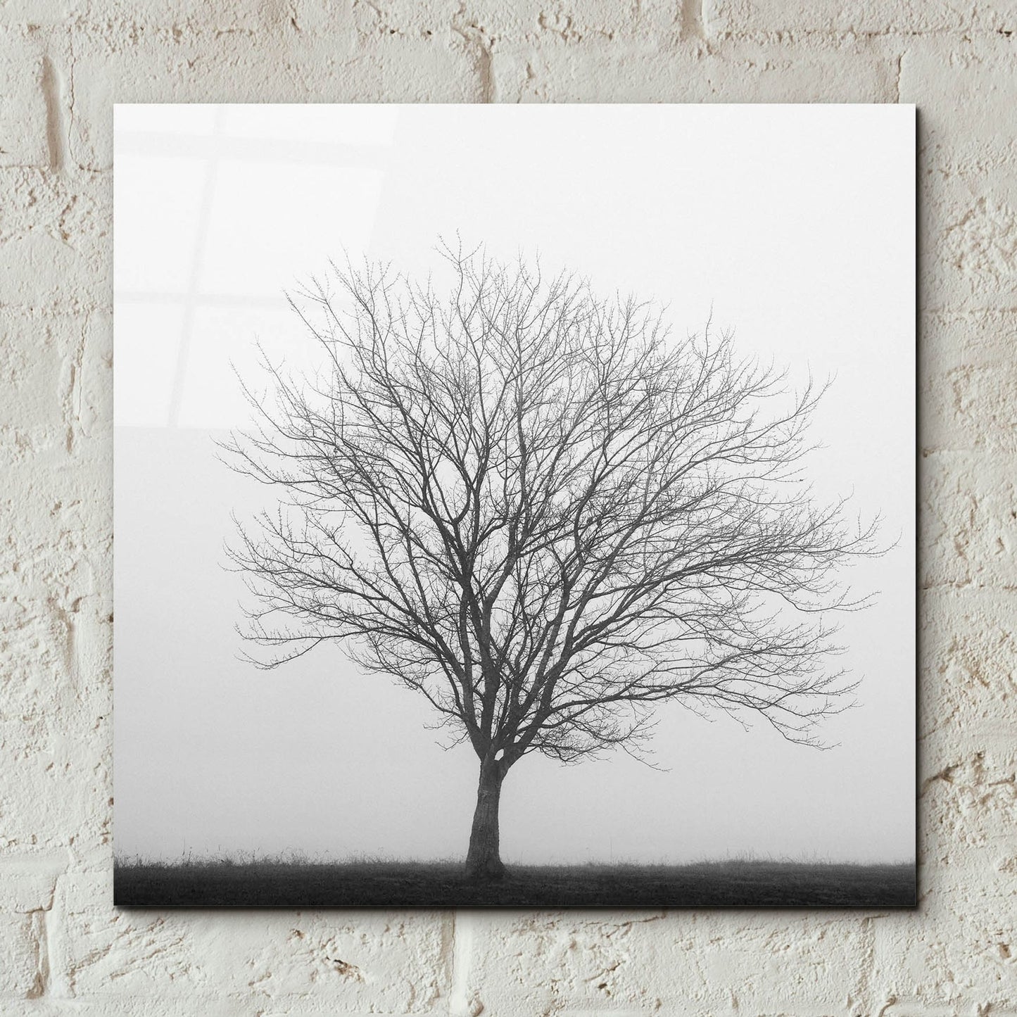 Epic Art 'Winter Trio II' by Nicholas Bell Photography, Acrylic Glass Wall Art,12x12