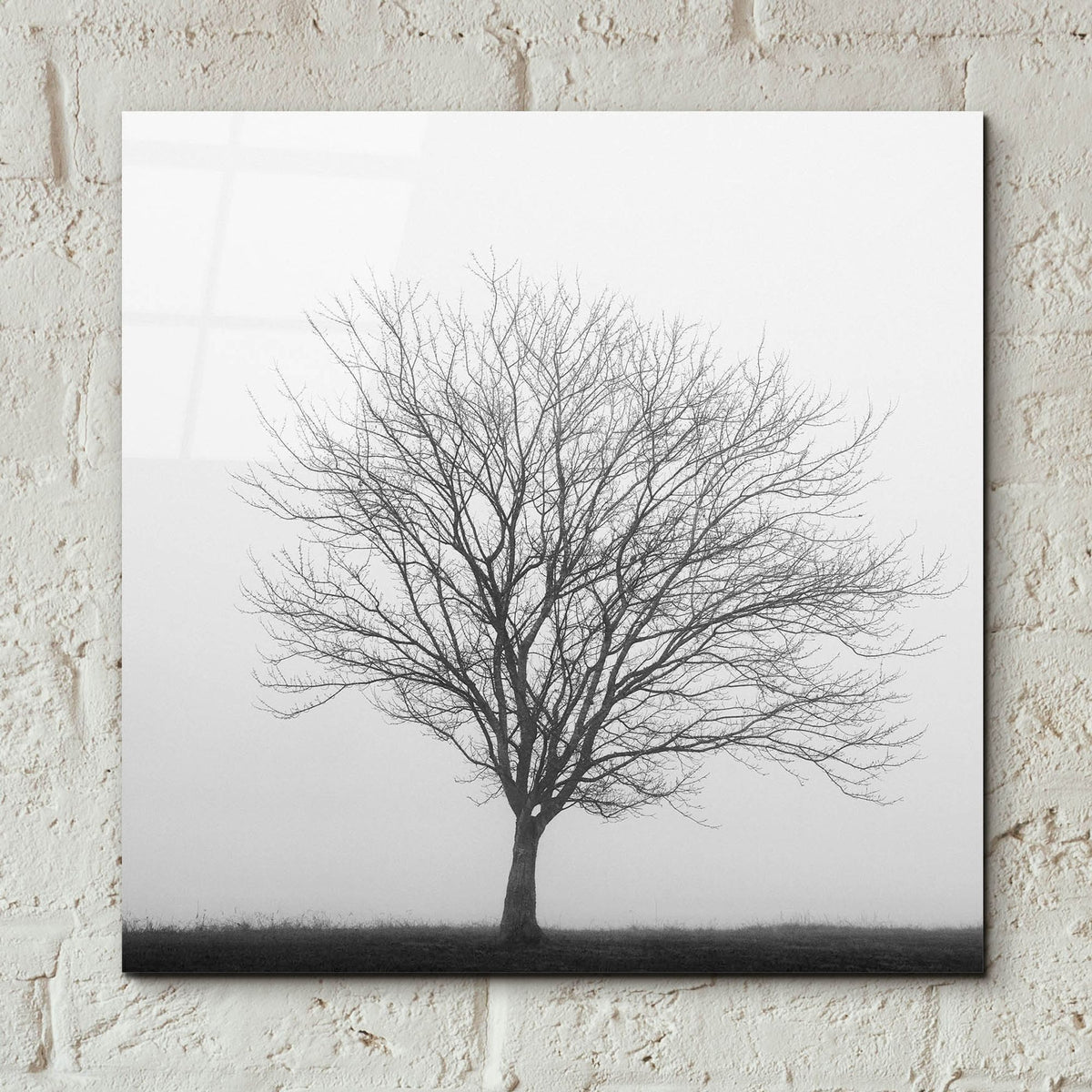 Epic Art 'Winter Trio II' by Nicholas Bell Photography, Acrylic Glass Wall Art,12x12