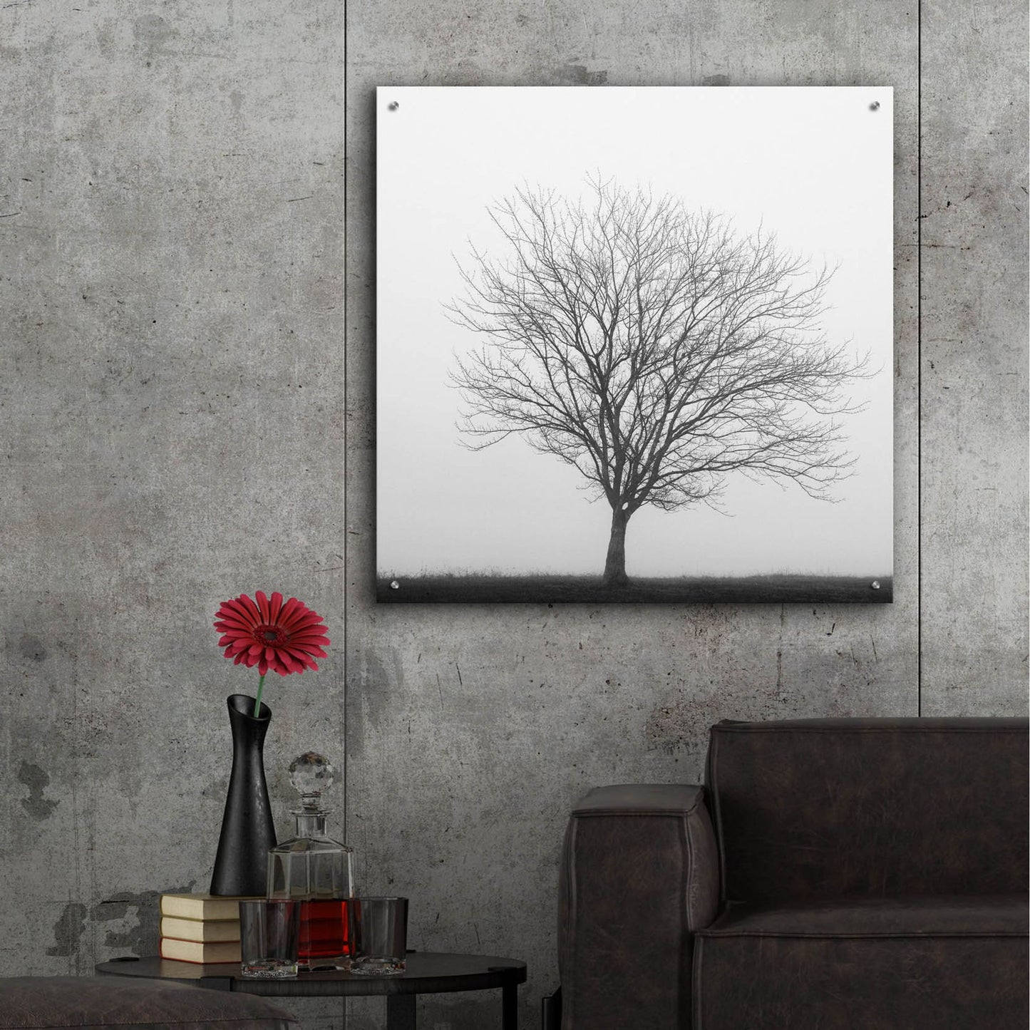 Epic Art 'Winter Trio II' by Nicholas Bell Photography, Acrylic Glass Wall Art,36x36