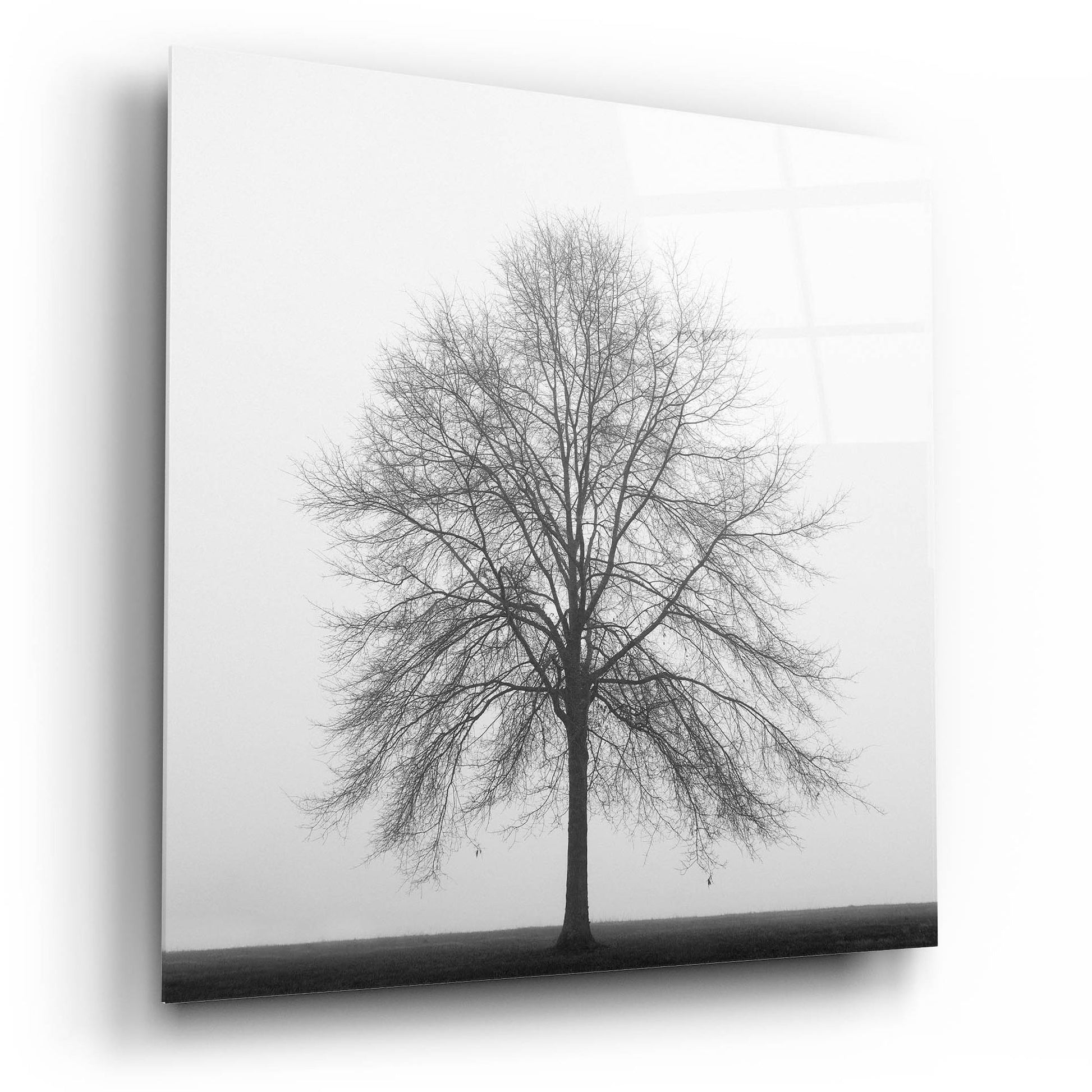 Epic Art 'Winter Trio III' by Nicholas Bell Photography, Acrylic Glass Wall Art,12x12