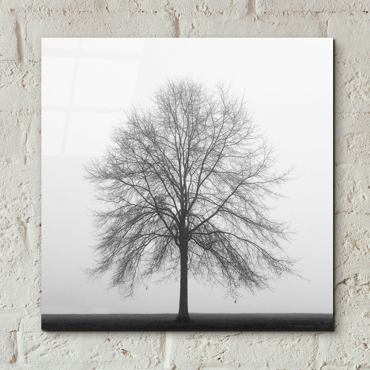 Epic Art 'Winter Trio III' by Nicholas Bell Photography, Acrylic Glass Wall Art,12x12