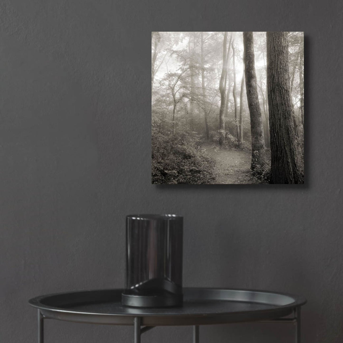 Epic Art 'Woodland Path' by Nicholas Bell Photography, Acrylic Glass Wall Art,12x12