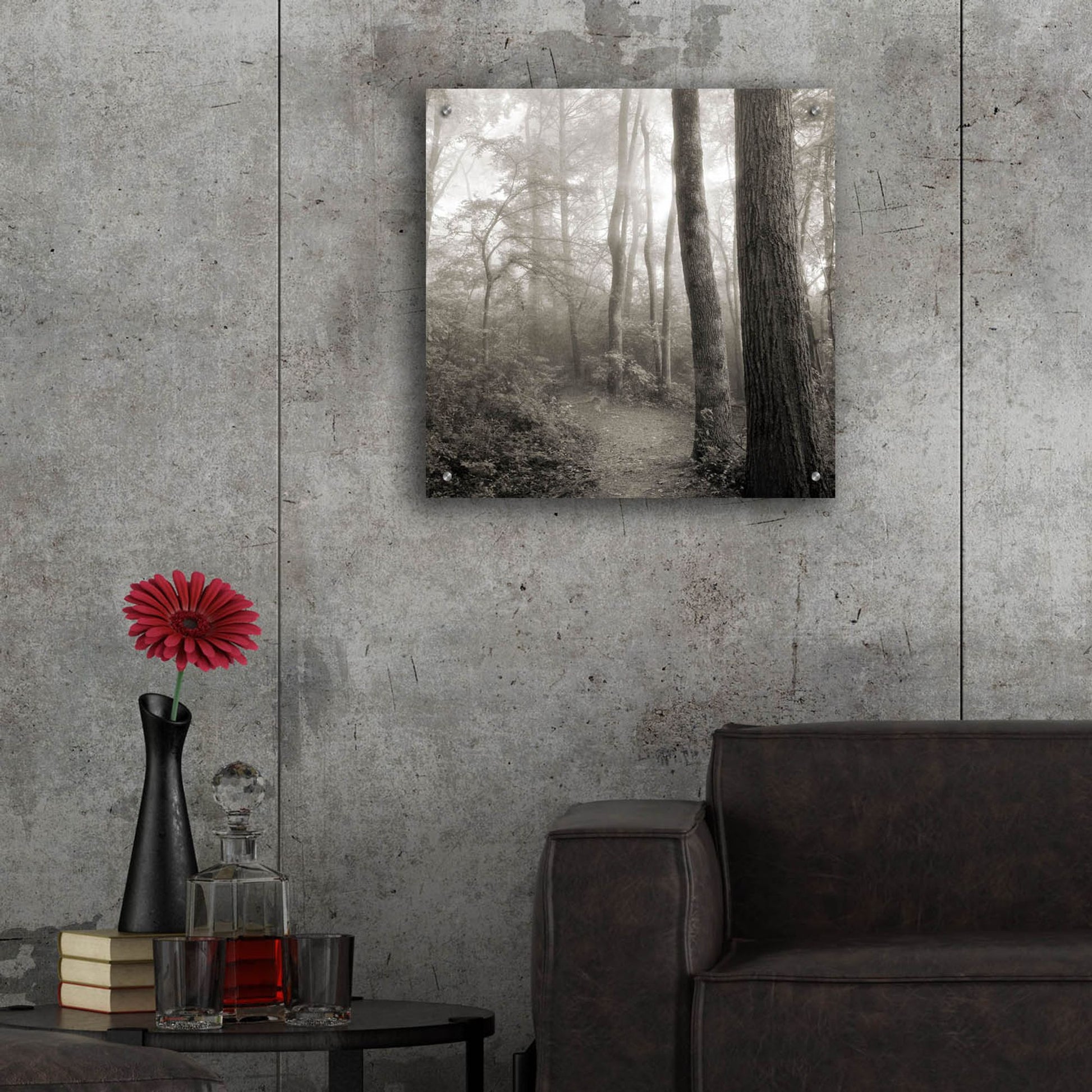 Epic Art 'Woodland Path' by Nicholas Bell Photography, Acrylic Glass Wall Art,24x24