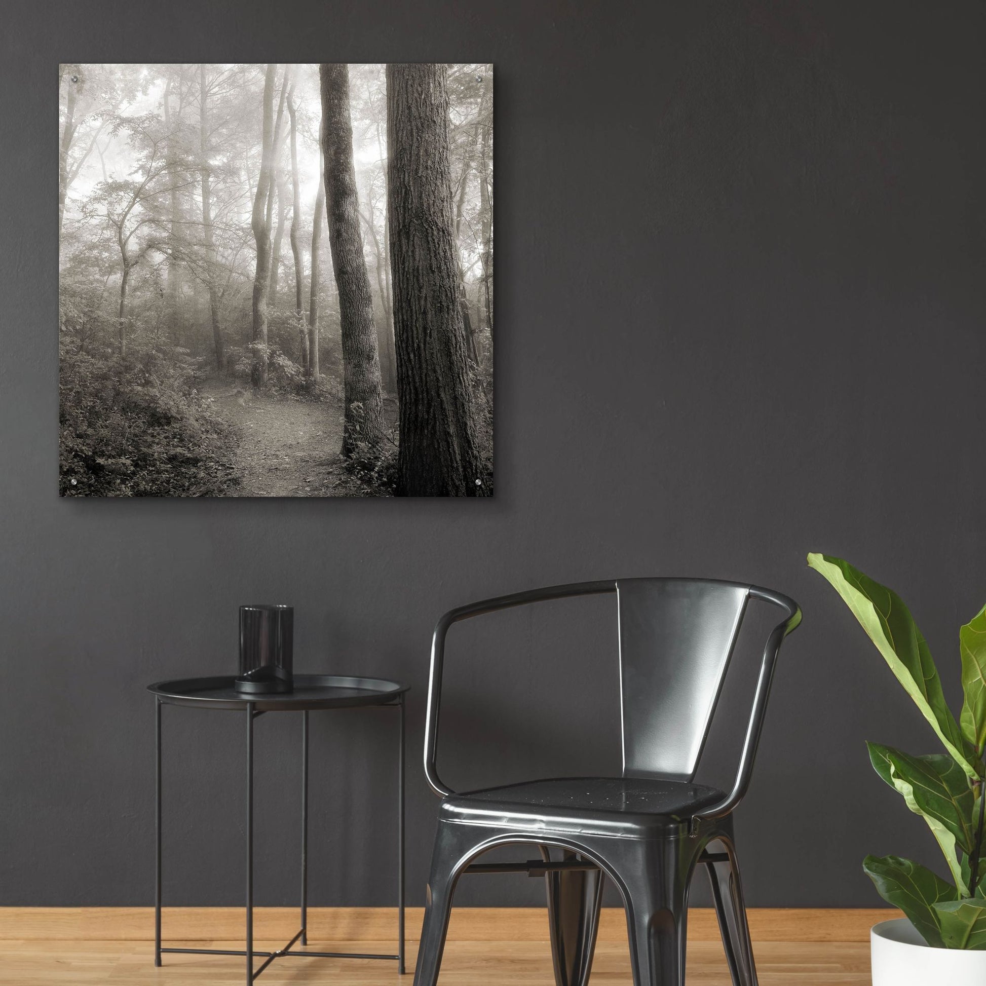 Epic Art 'Woodland Path' by Nicholas Bell Photography, Acrylic Glass Wall Art,36x36