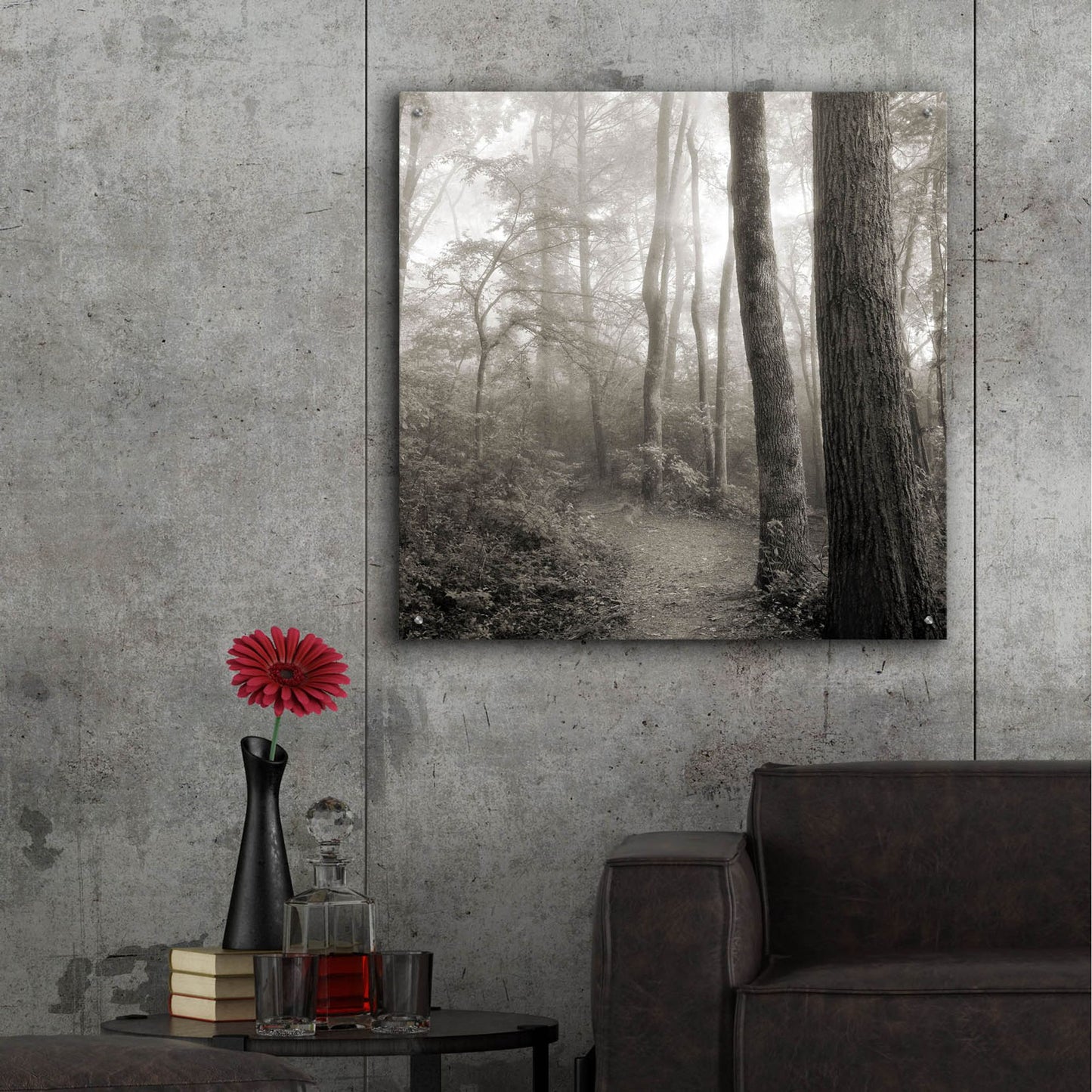 Epic Art 'Woodland Path' by Nicholas Bell Photography, Acrylic Glass Wall Art,36x36