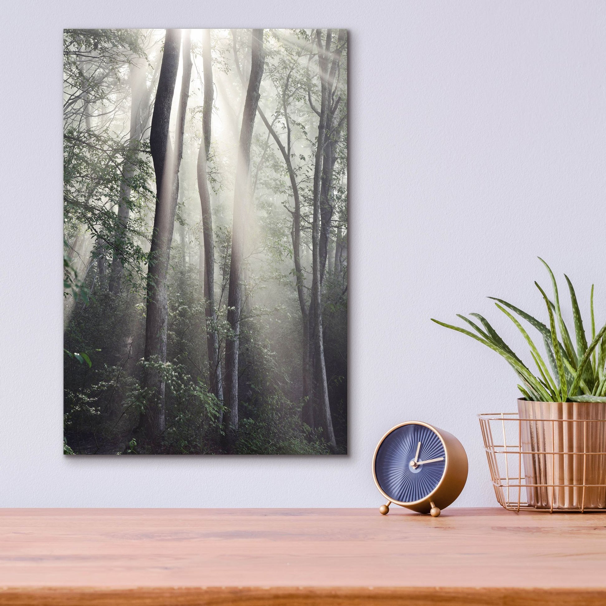 Epic Art 'Woodland Sun' by Nicholas Bell Photography, Acrylic Glass Wall Art,12x16