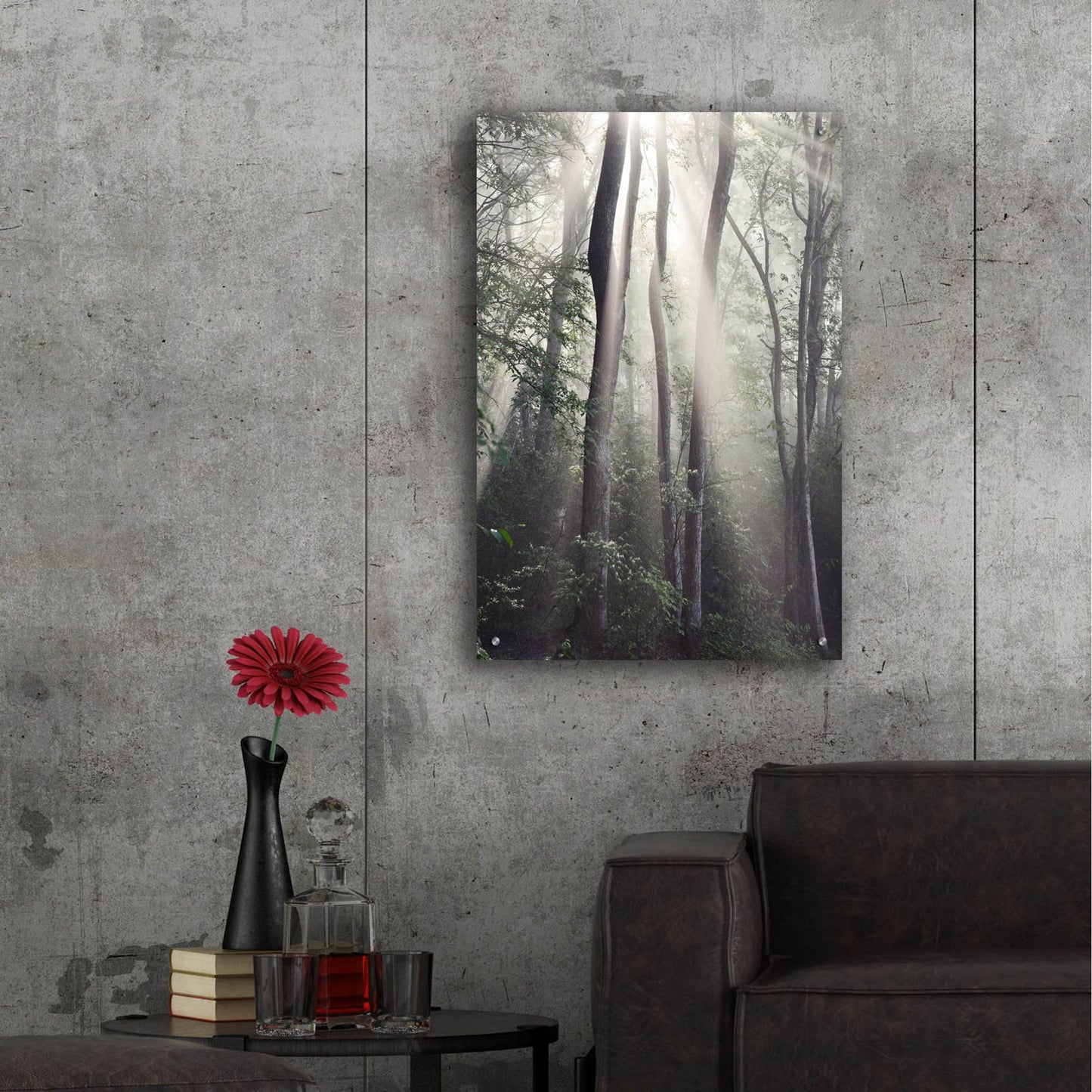 Epic Art 'Woodland Sun' by Nicholas Bell Photography, Acrylic Glass Wall Art,24x36