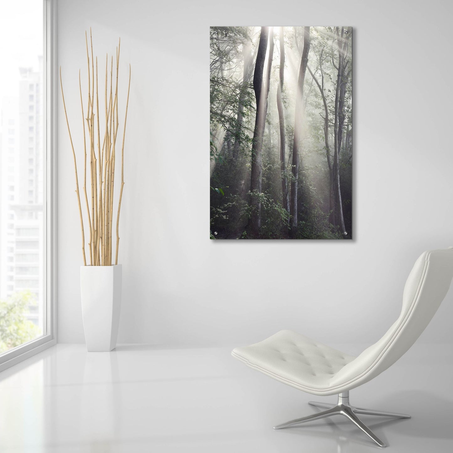 Epic Art 'Woodland Sun' by Nicholas Bell Photography, Acrylic Glass Wall Art,24x36