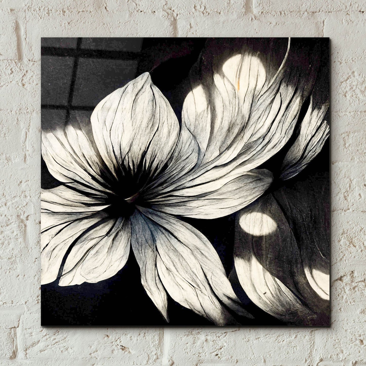 Epic Art 'Flowers Black White 1' by Ray Heere, Acrylic Glass Wall Art,12x12