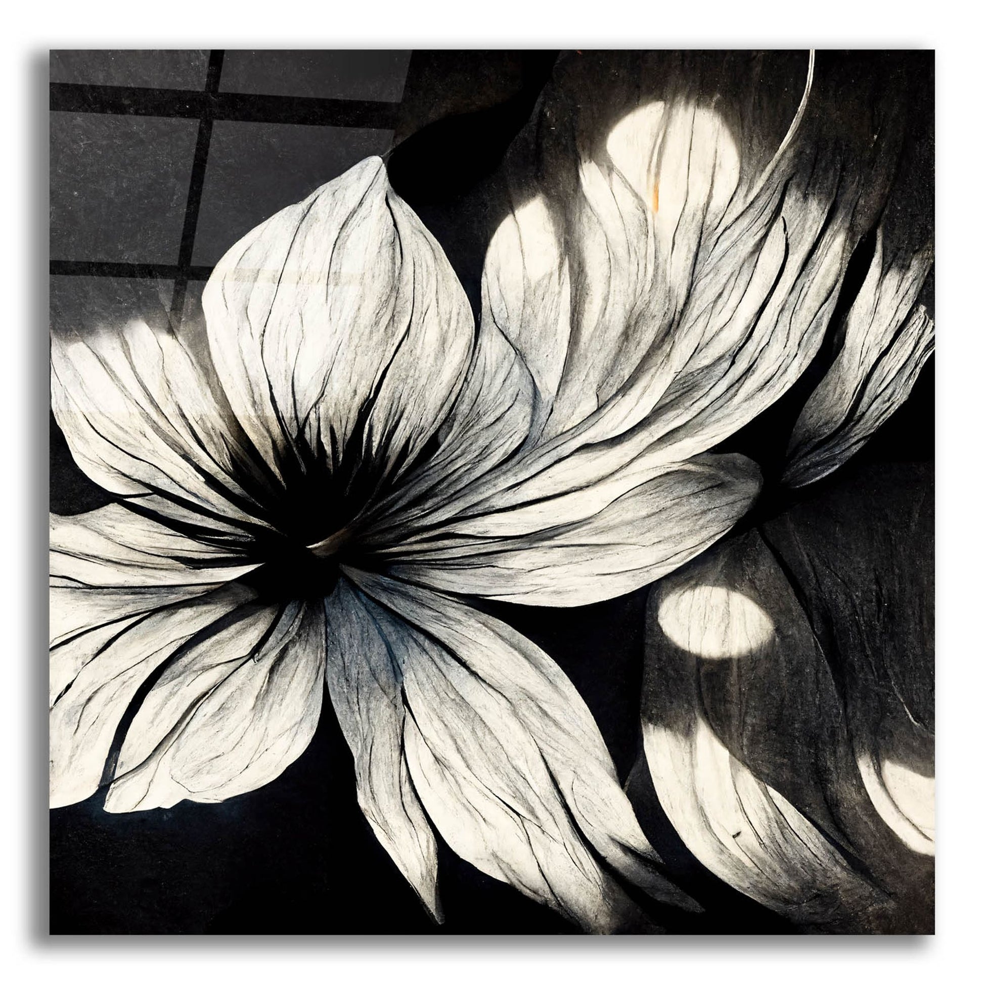 Epic Art 'Flowers Black White 1' by Ray Heere, Acrylic Glass Wall Art,12x12