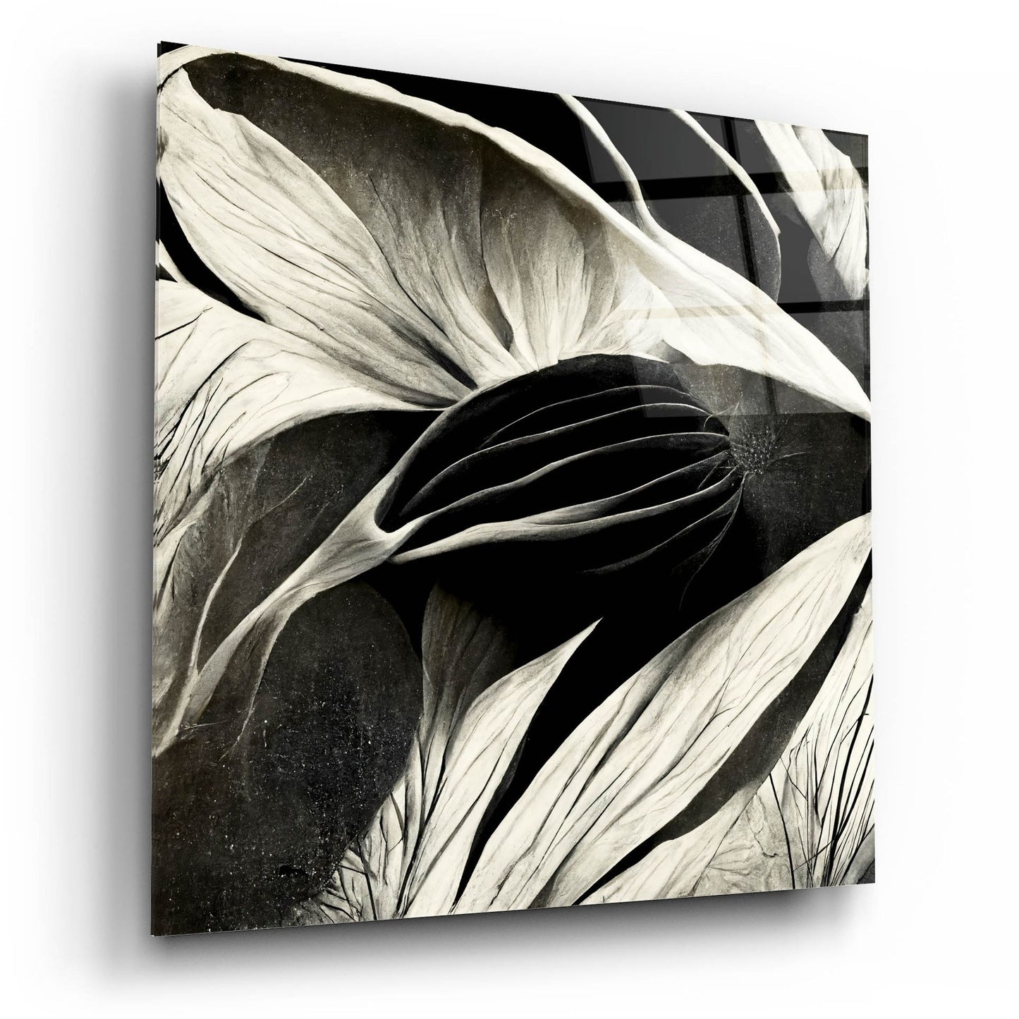 Epic Art 'Flowers Black White 2' by Ray Heere, Acrylic Glass Wall Art,12x12