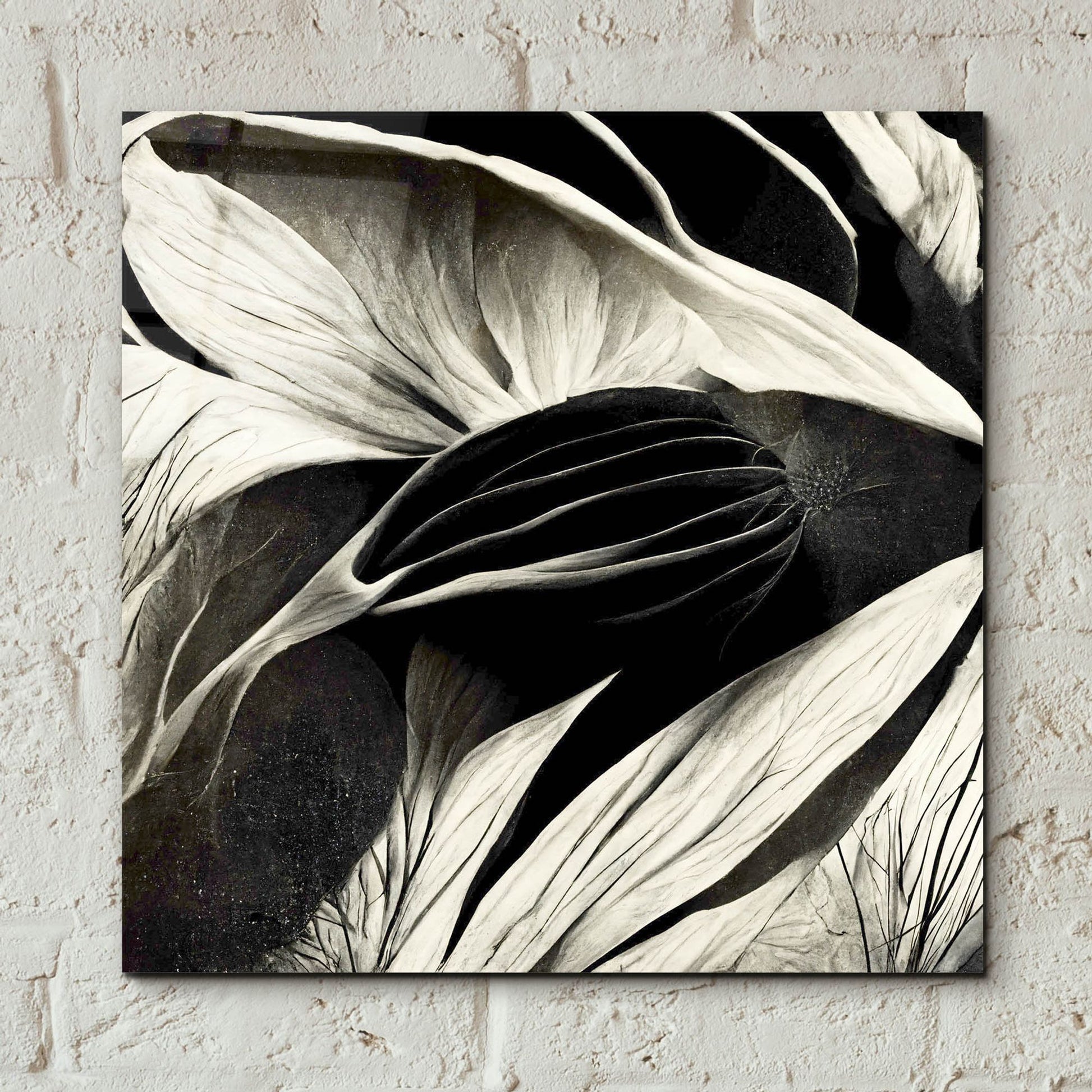 Epic Art 'Flowers Black White 2' by Ray Heere, Acrylic Glass Wall Art,12x12