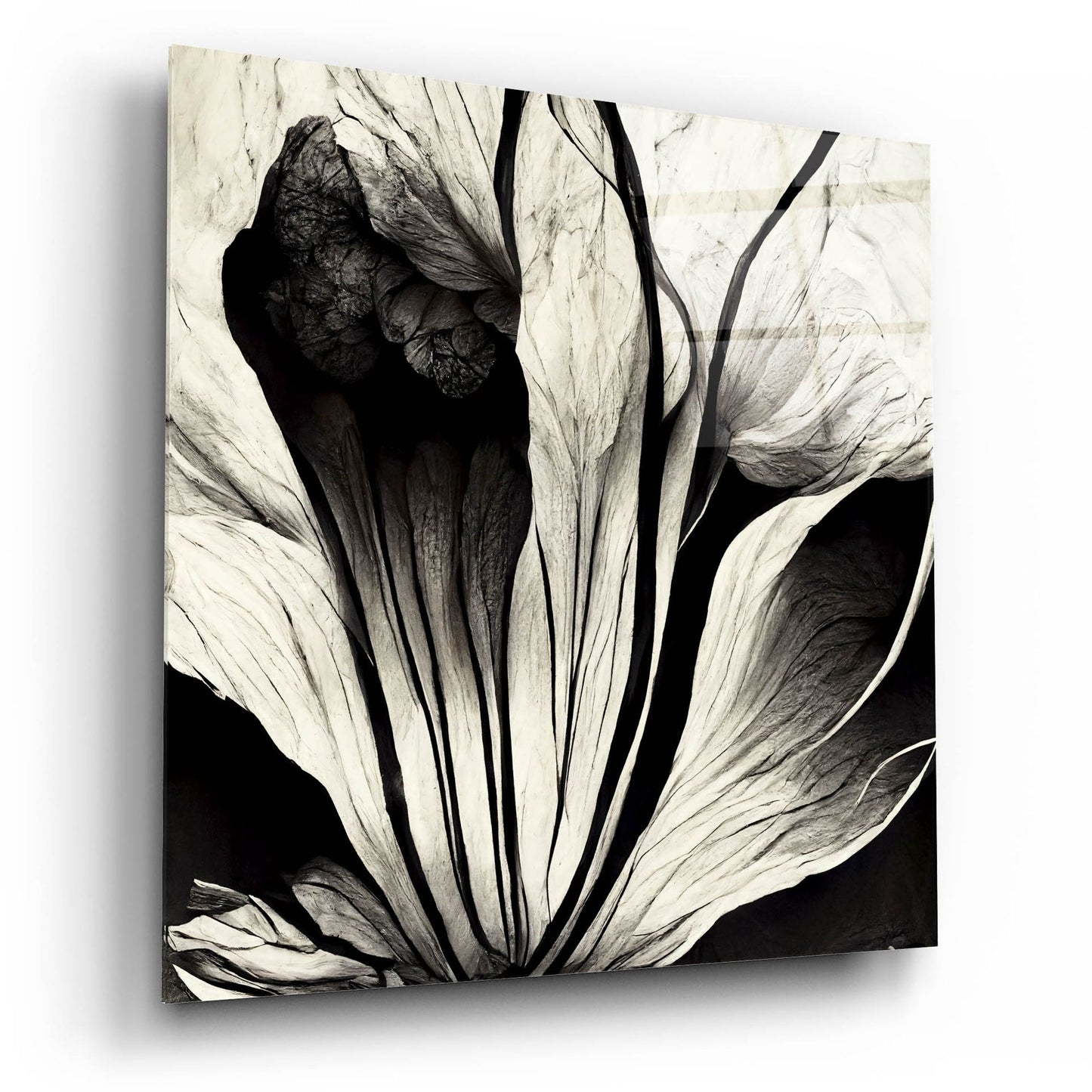 Epic Art 'Flowers Black White 3' by Ray Heere, Acrylic Glass Wall Art,12x12