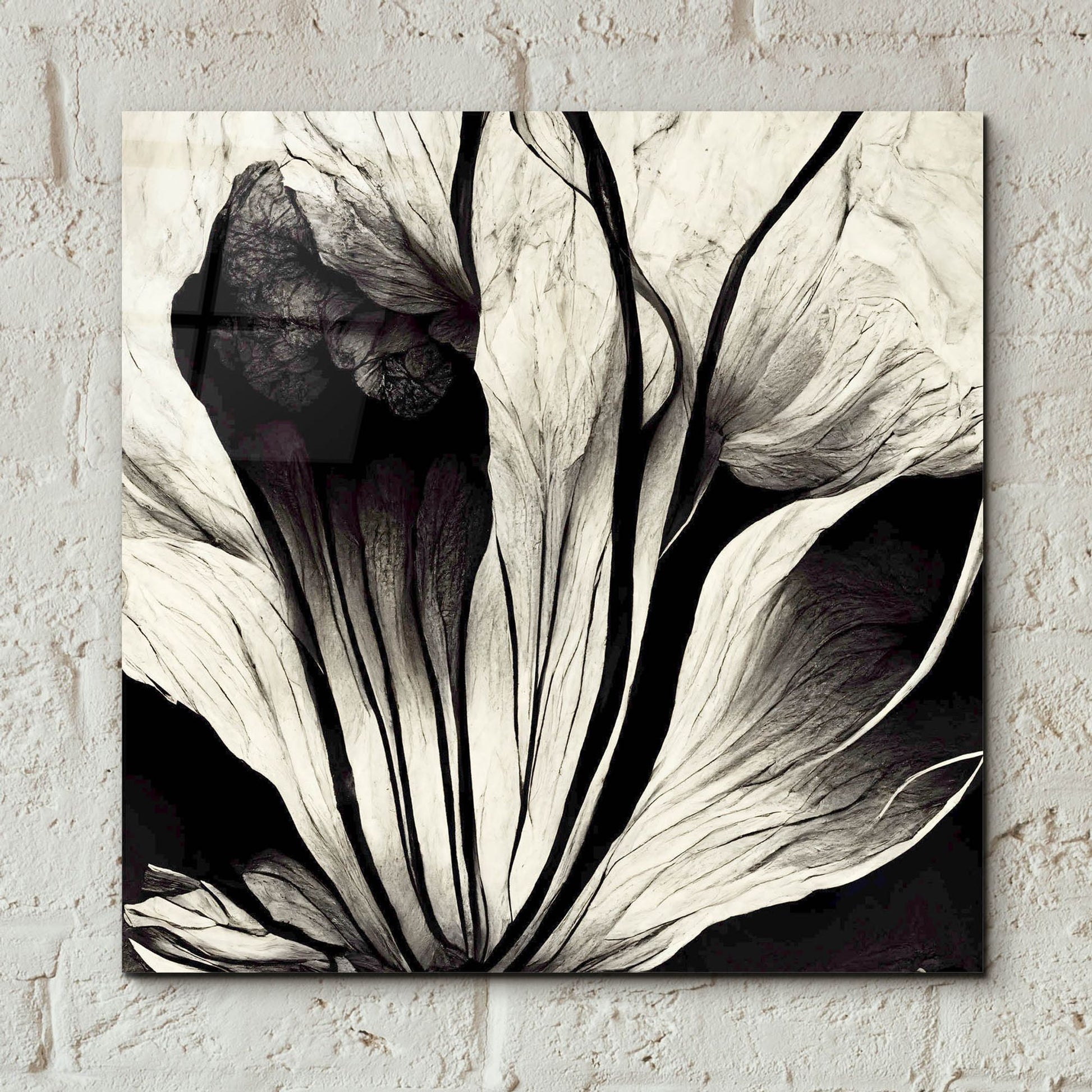 Epic Art 'Flowers Black White 3' by Ray Heere, Acrylic Glass Wall Art,12x12