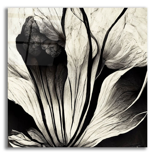 Epic Art 'Flowers Black White 3' by Ray Heere, Acrylic Glass Wall Art