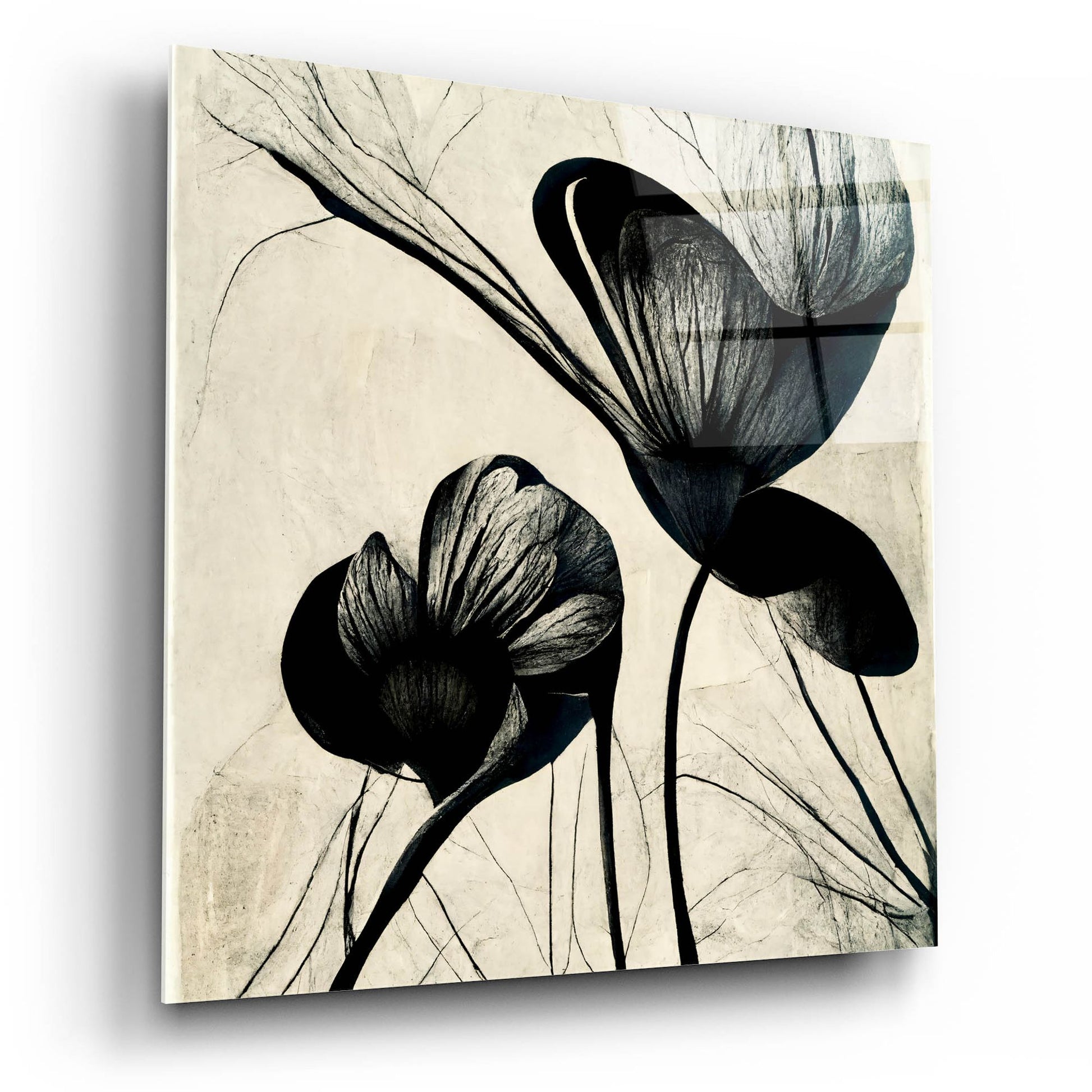 Epic Art 'Flowers Black White 4' by Ray Heere, Acrylic Glass Wall Art,12x12