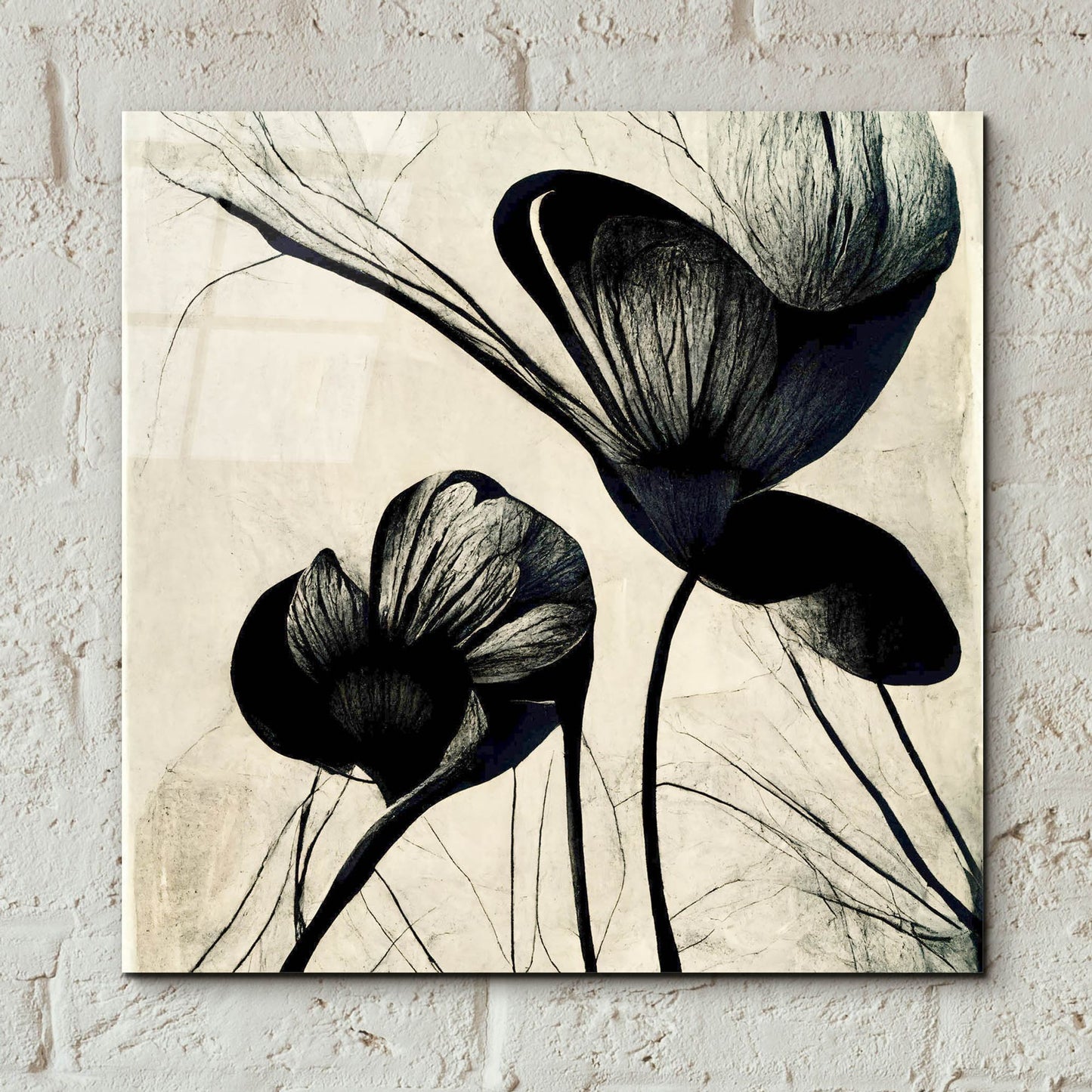 Epic Art 'Flowers Black White 4' by Ray Heere, Acrylic Glass Wall Art,12x12