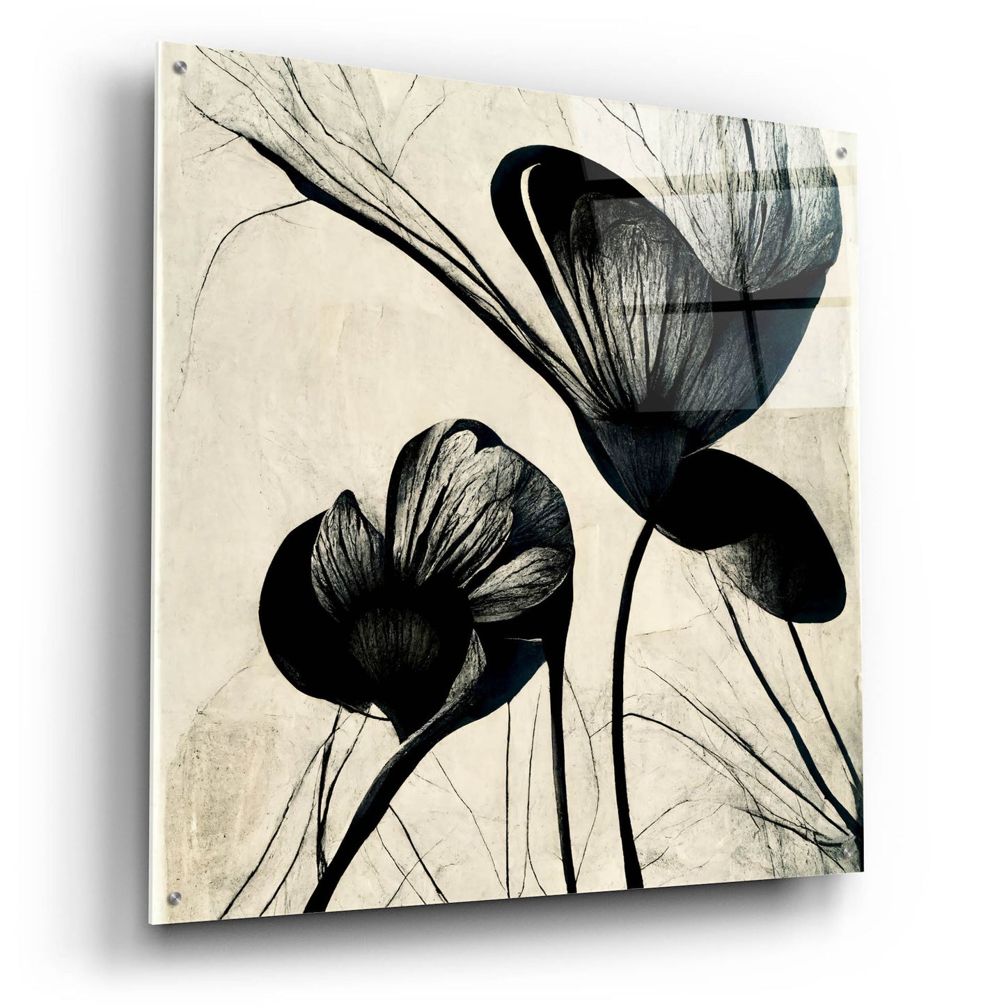 Epic Art 'Flowers Black White 4' by Ray Heere, Acrylic Glass Wall Art,36x36