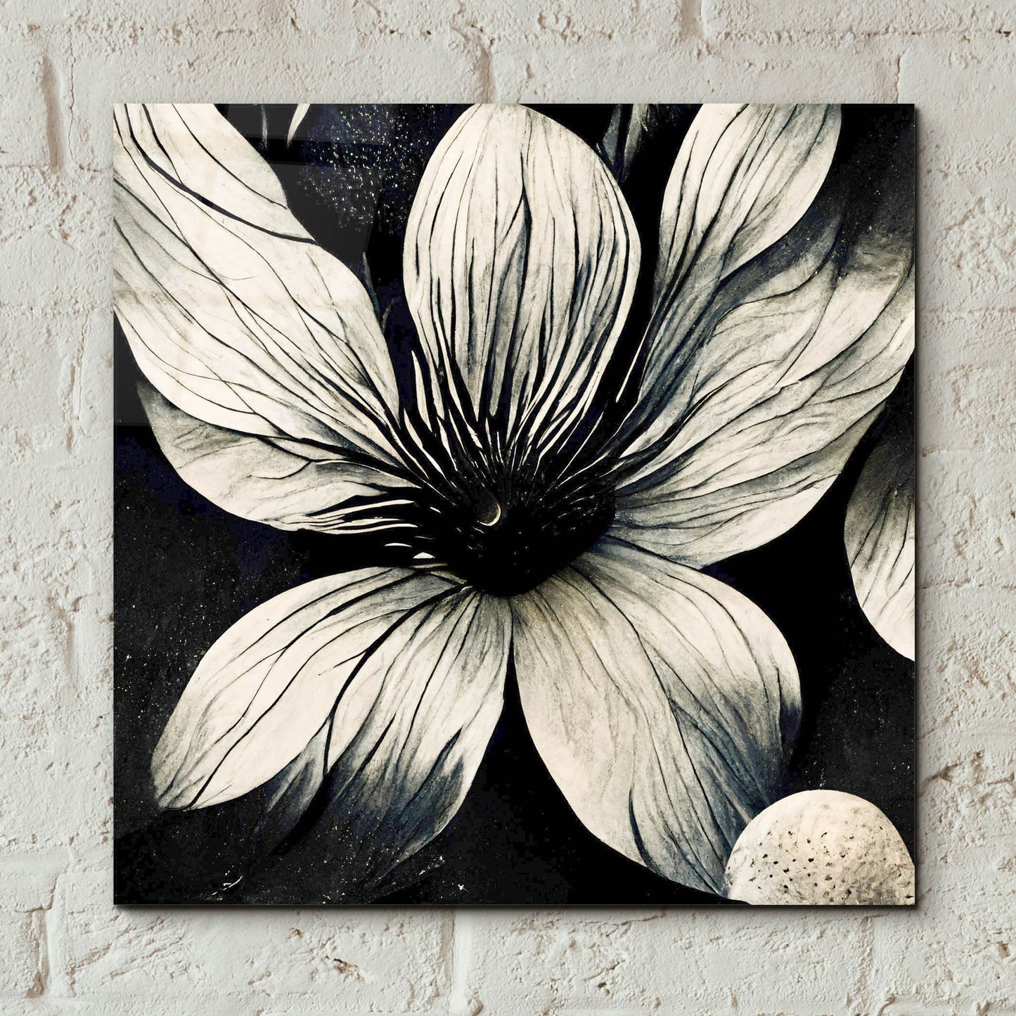 Epic Art 'Flowers Black White 5' by Ray Heere, Acrylic Glass Wall Art,12x12