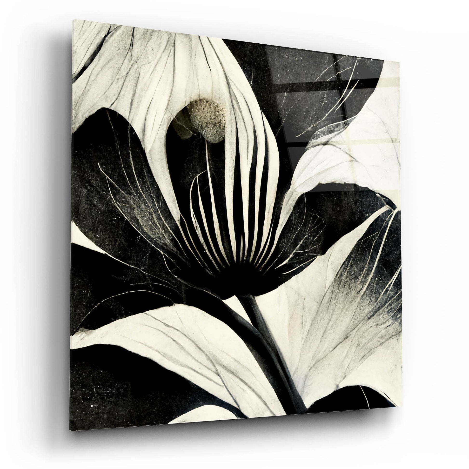 Epic Art 'Flowers Black White 6' by Ray Heere, Acrylic Glass Wall Art,12x12