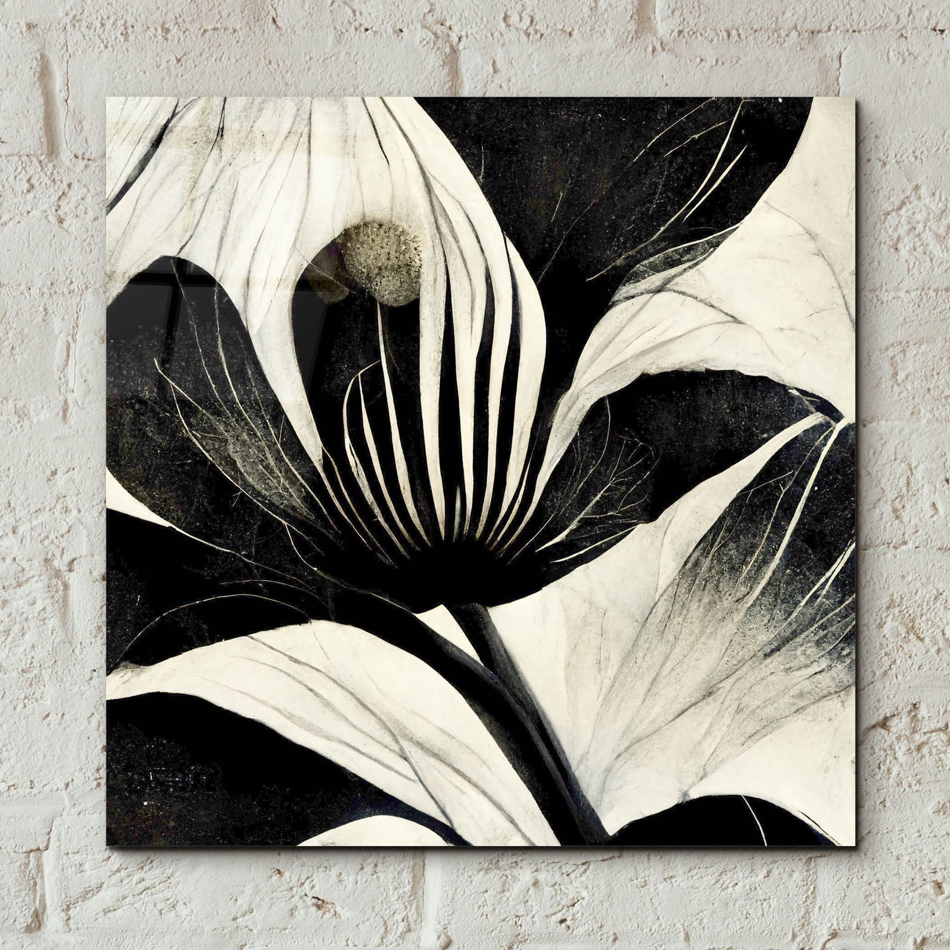 Epic Art 'Flowers Black White 6' by Ray Heere, Acrylic Glass Wall Art,12x12