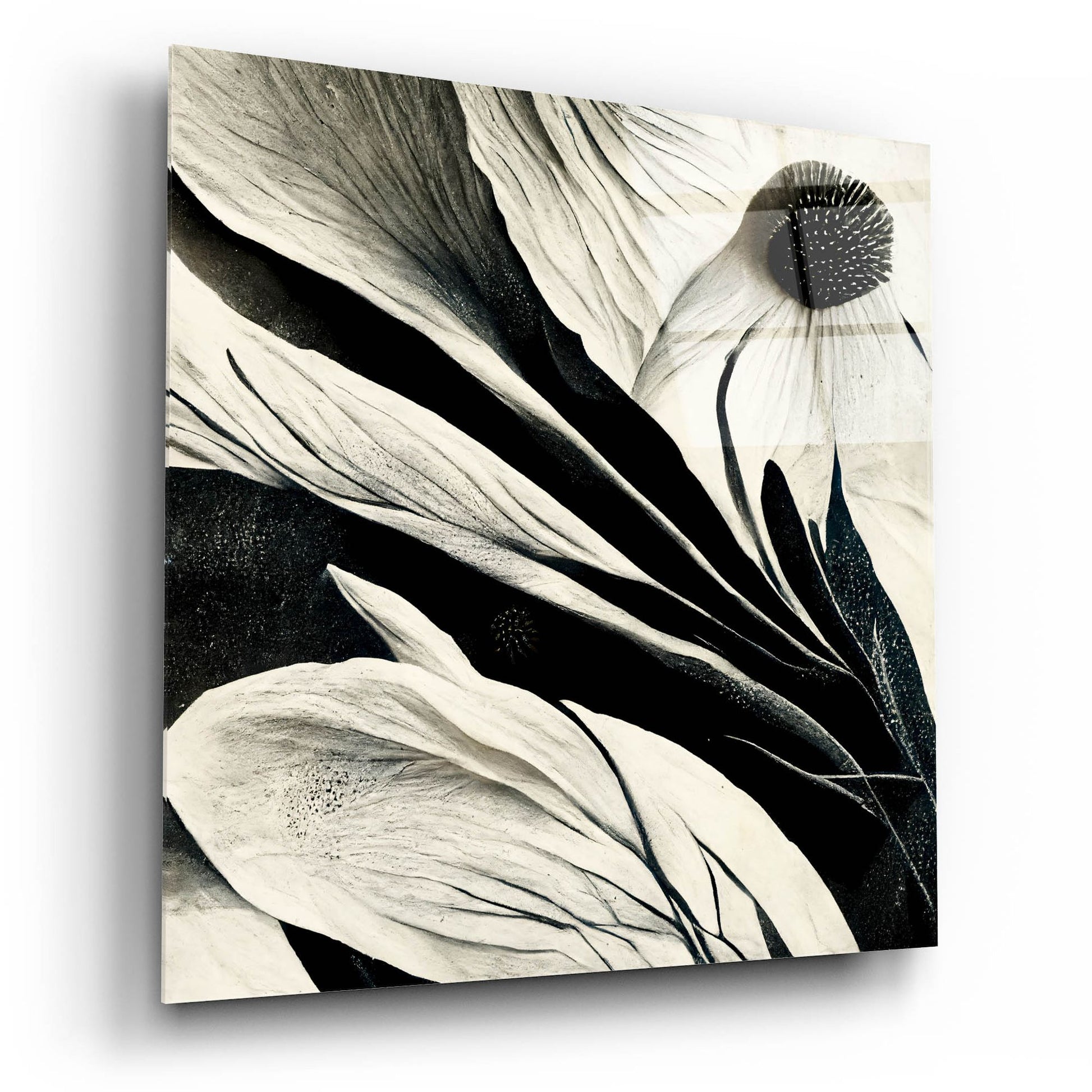 Epic Art 'Flowers Black White 7' by Ray Heere, Acrylic Glass Wall Art,12x12